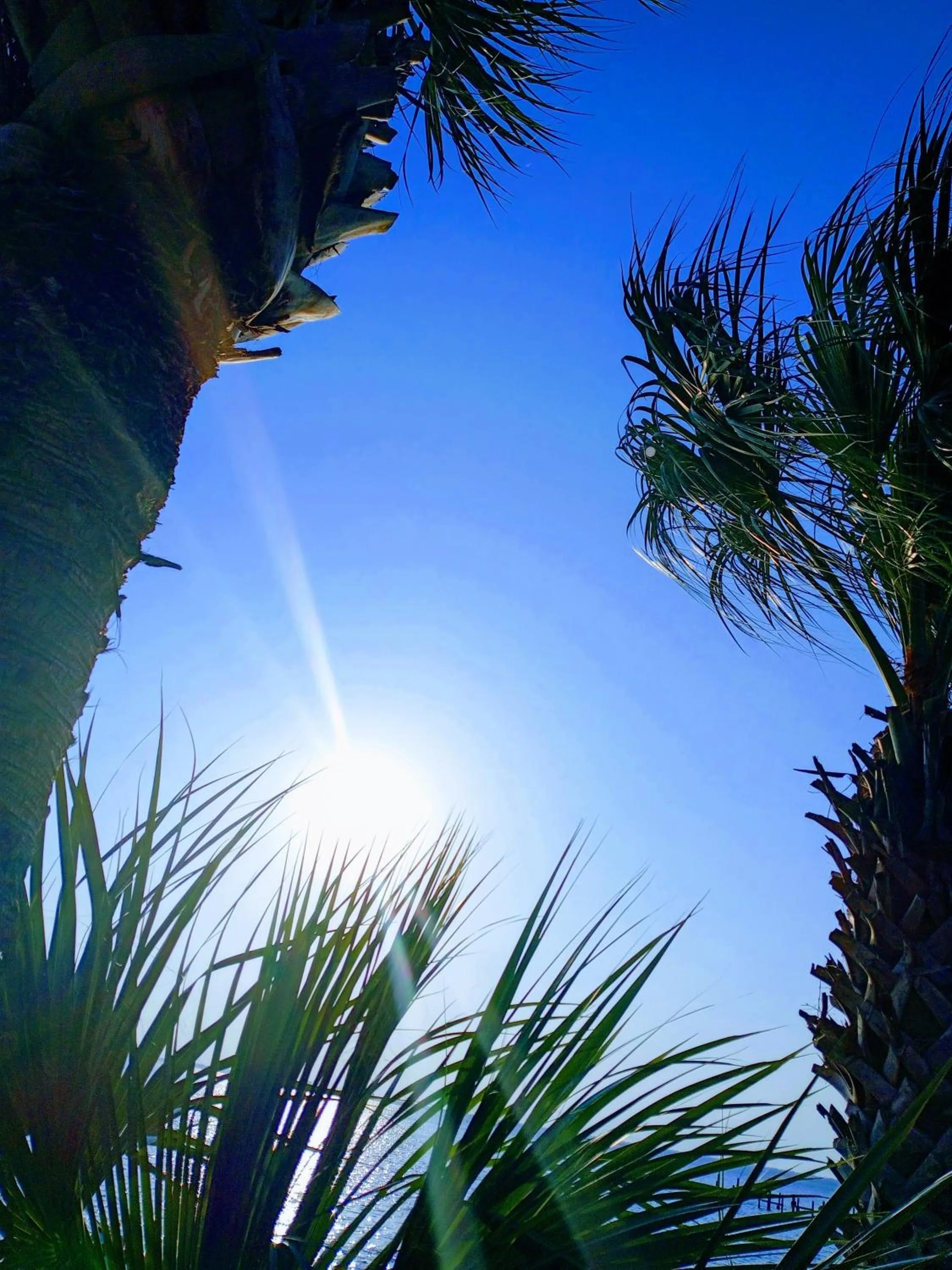 Day in Quality Inn & Suites Gulf Breeze Bayside near Pensacola Beach