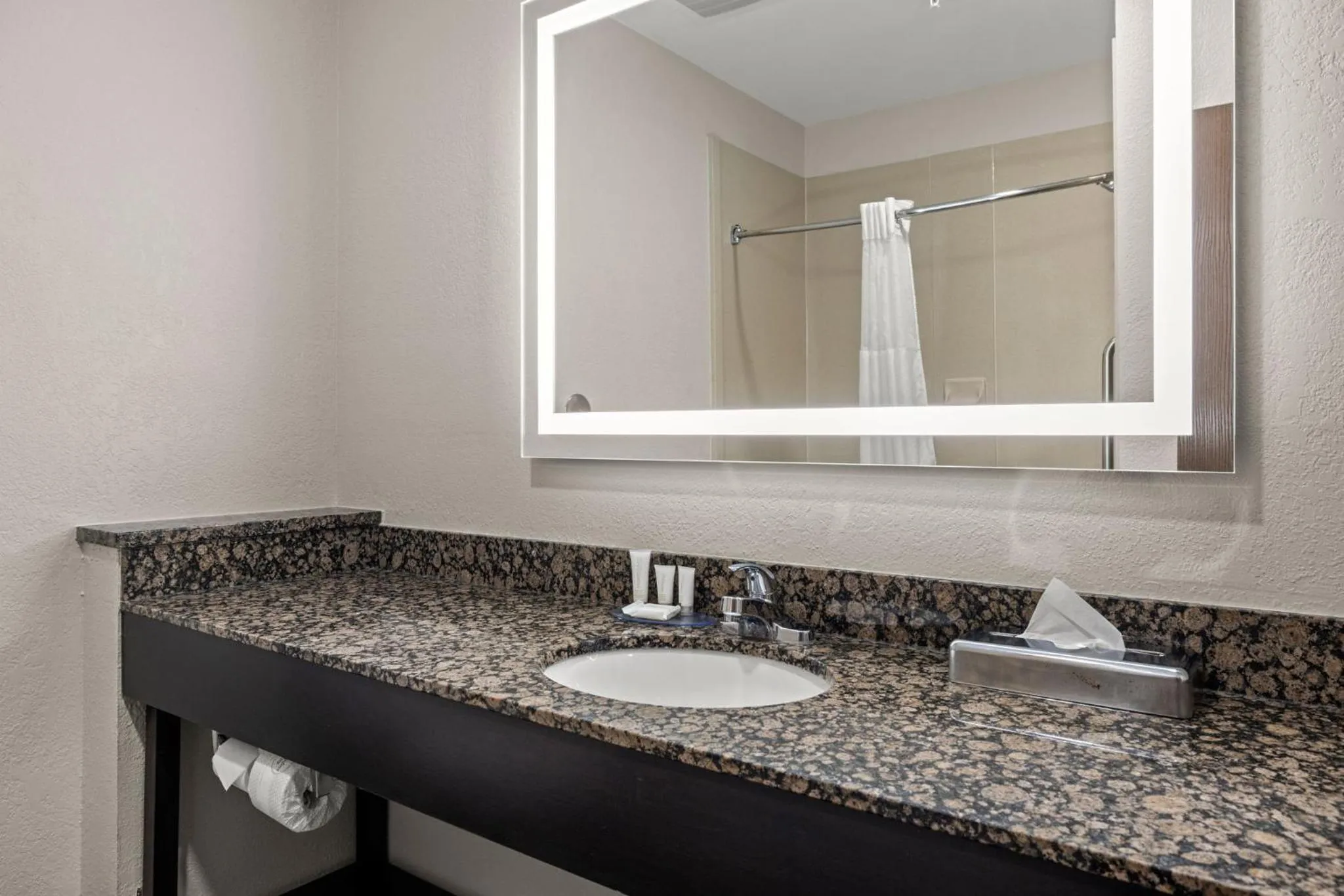 Bathroom in Sleep Inn & Suites Lakeland I-4