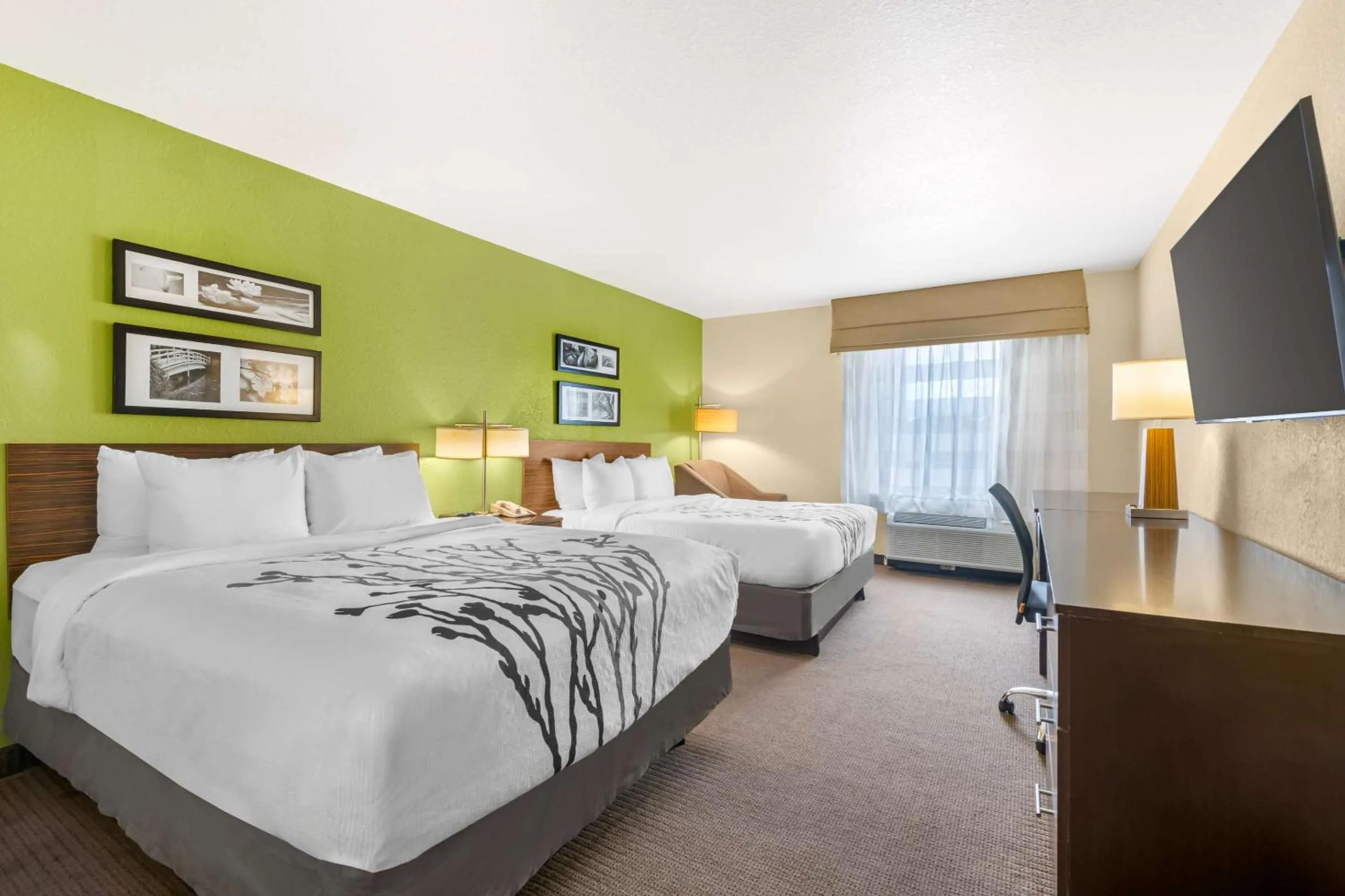 Bedroom, Bed in Sleep Inn & Suites Port Charlotte-Punta Gorda