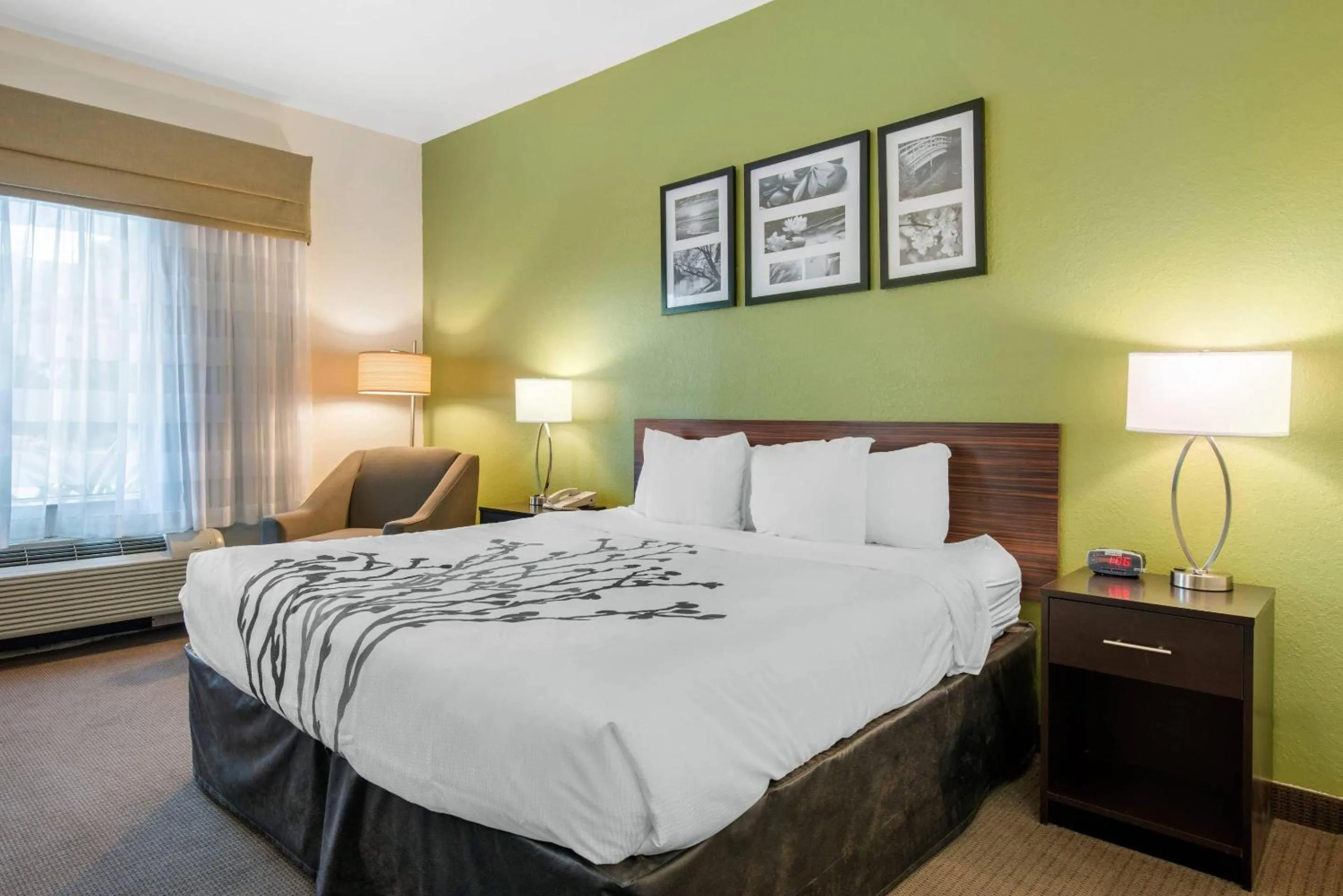 Bedroom, Bed in Sleep Inn & Suites Port Charlotte-Punta Gorda