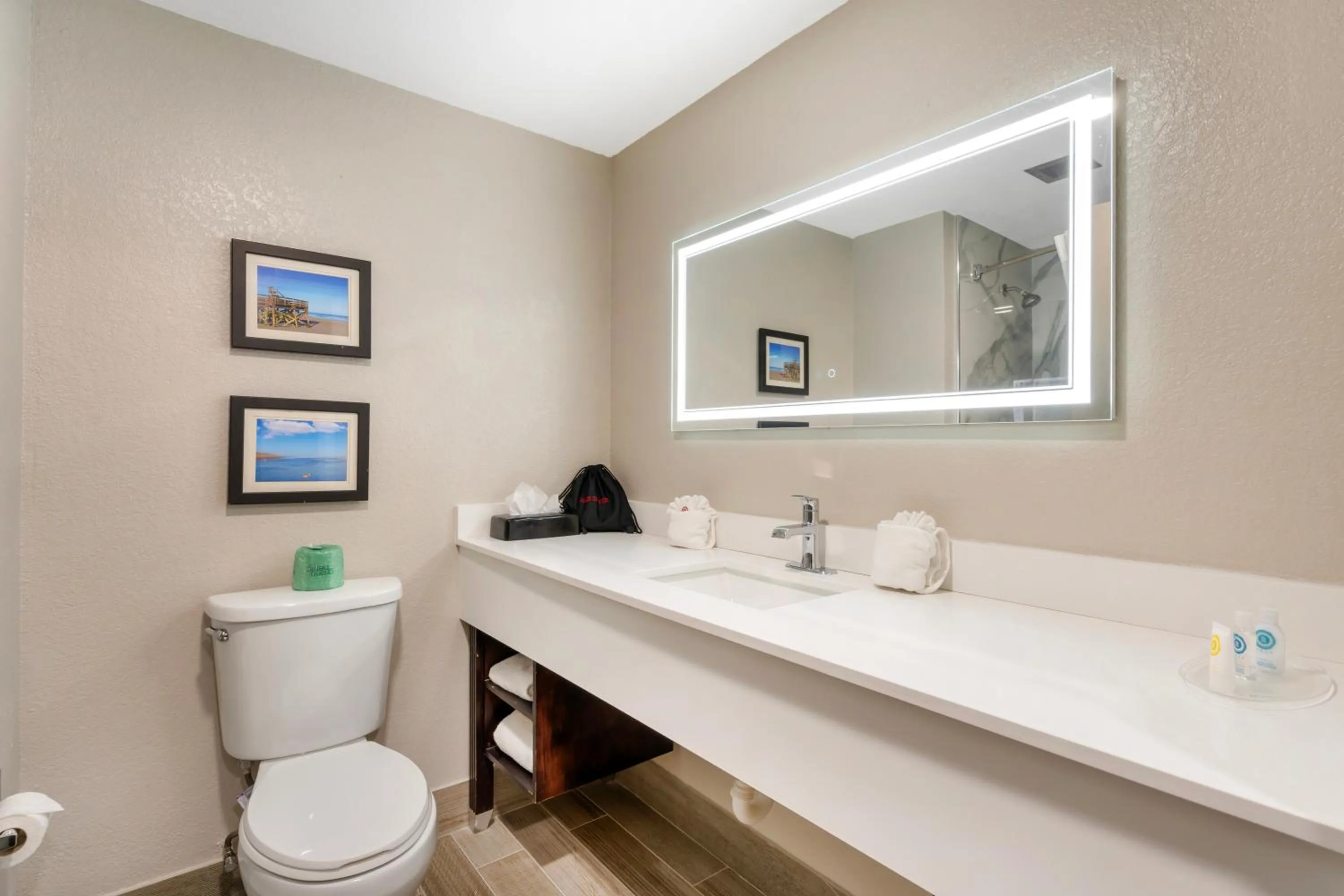 Bathroom in Comfort Suites West Jacksonville