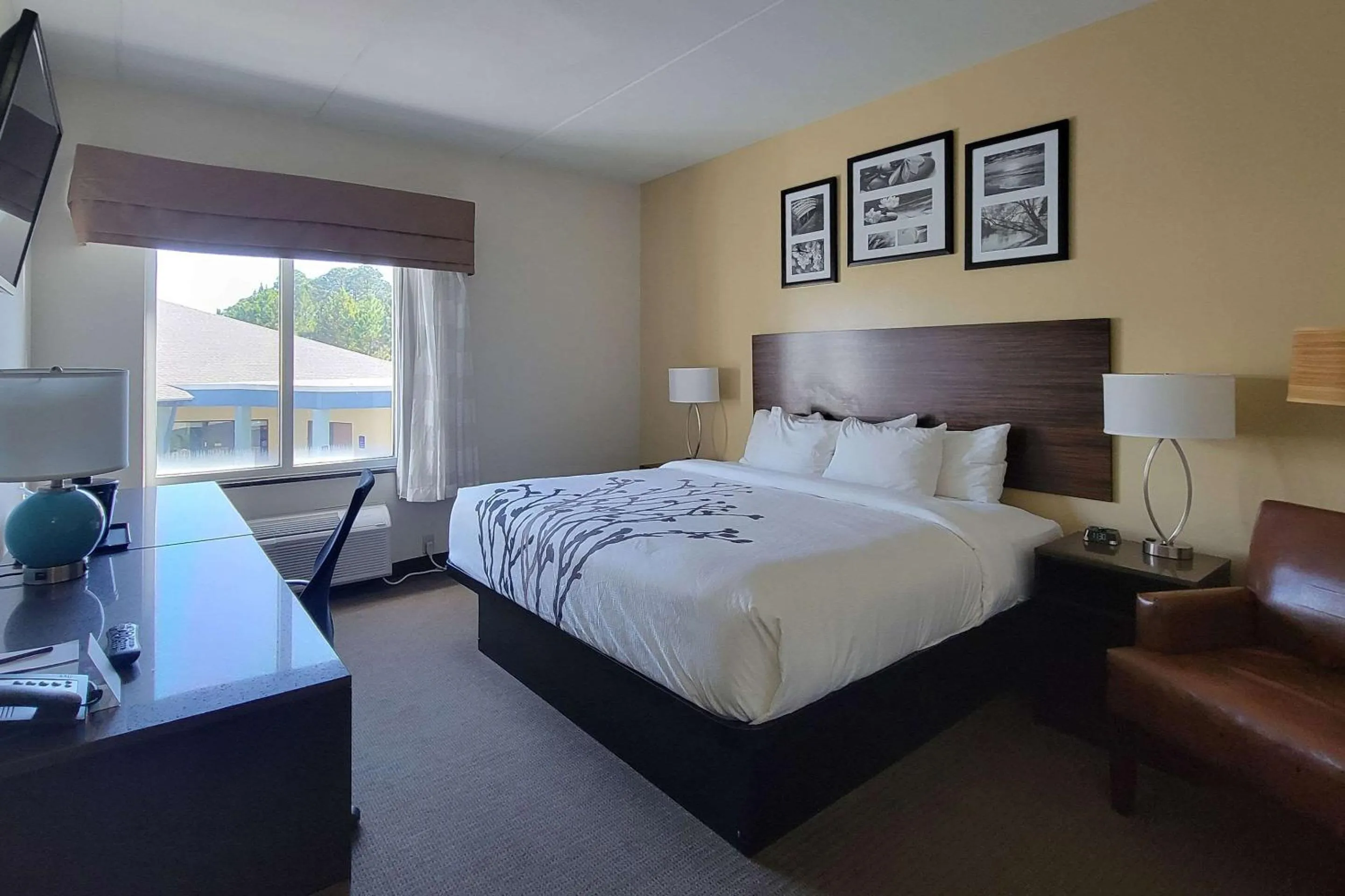 King Room - Non-Smoking in Garner Hotel Panama City Beach Northeast by IHG