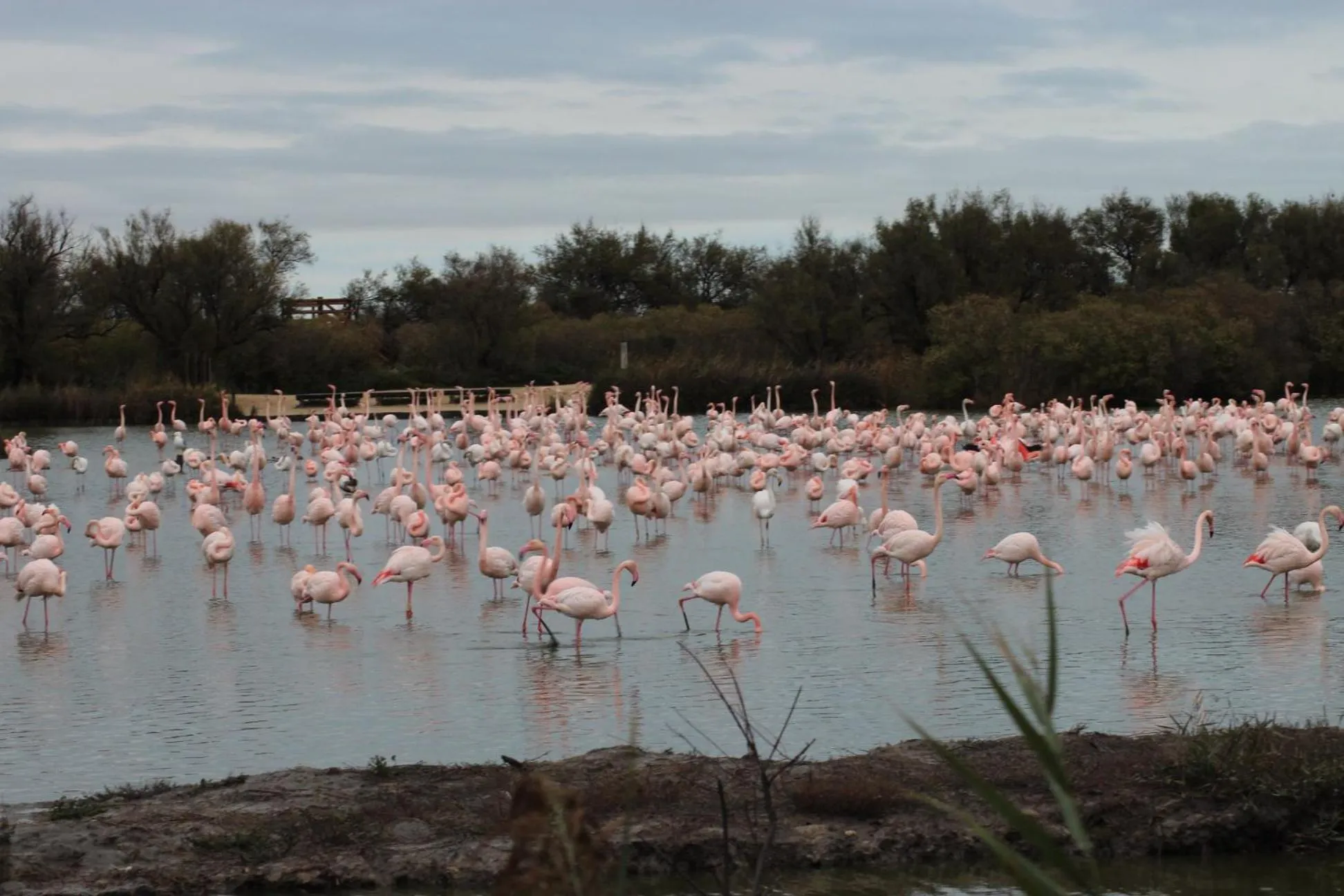 Lou Meinado, un concept "comme à l'hôtel"