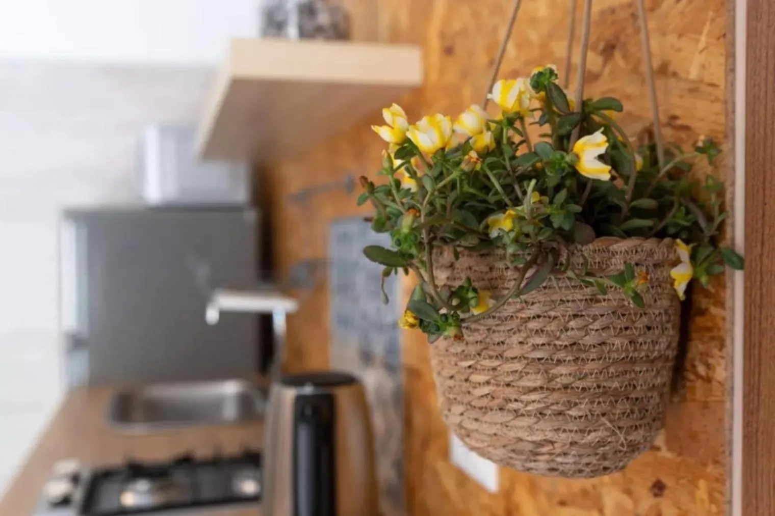 Kitchen or kitchenette in DOMUS