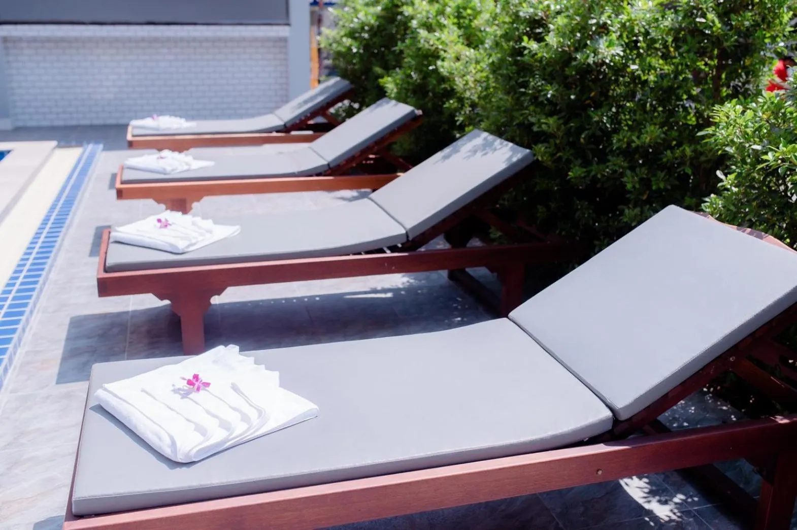 Swimming pool in Coconut Grove Hotel Samui