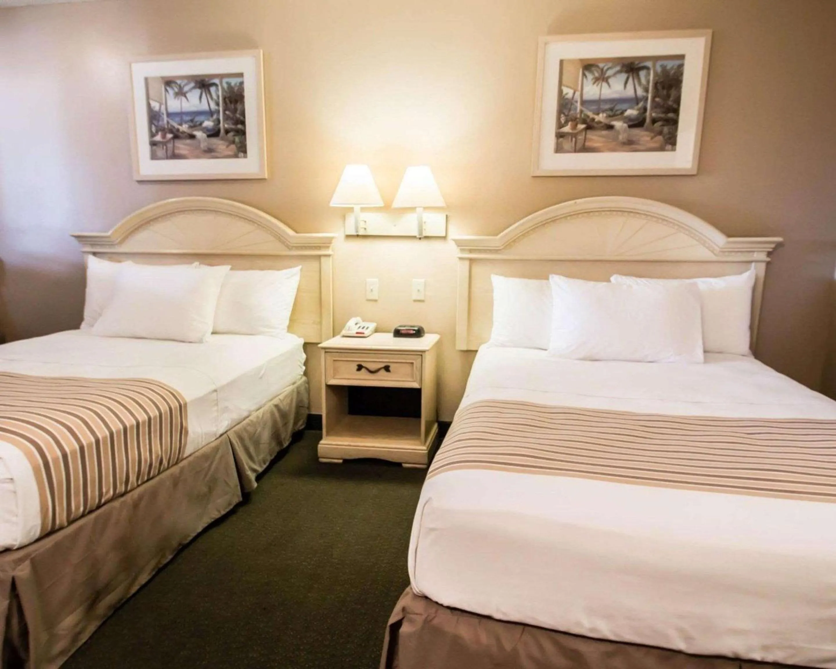 Photo of the whole room, Bed in Rodeway Inn Apopka South