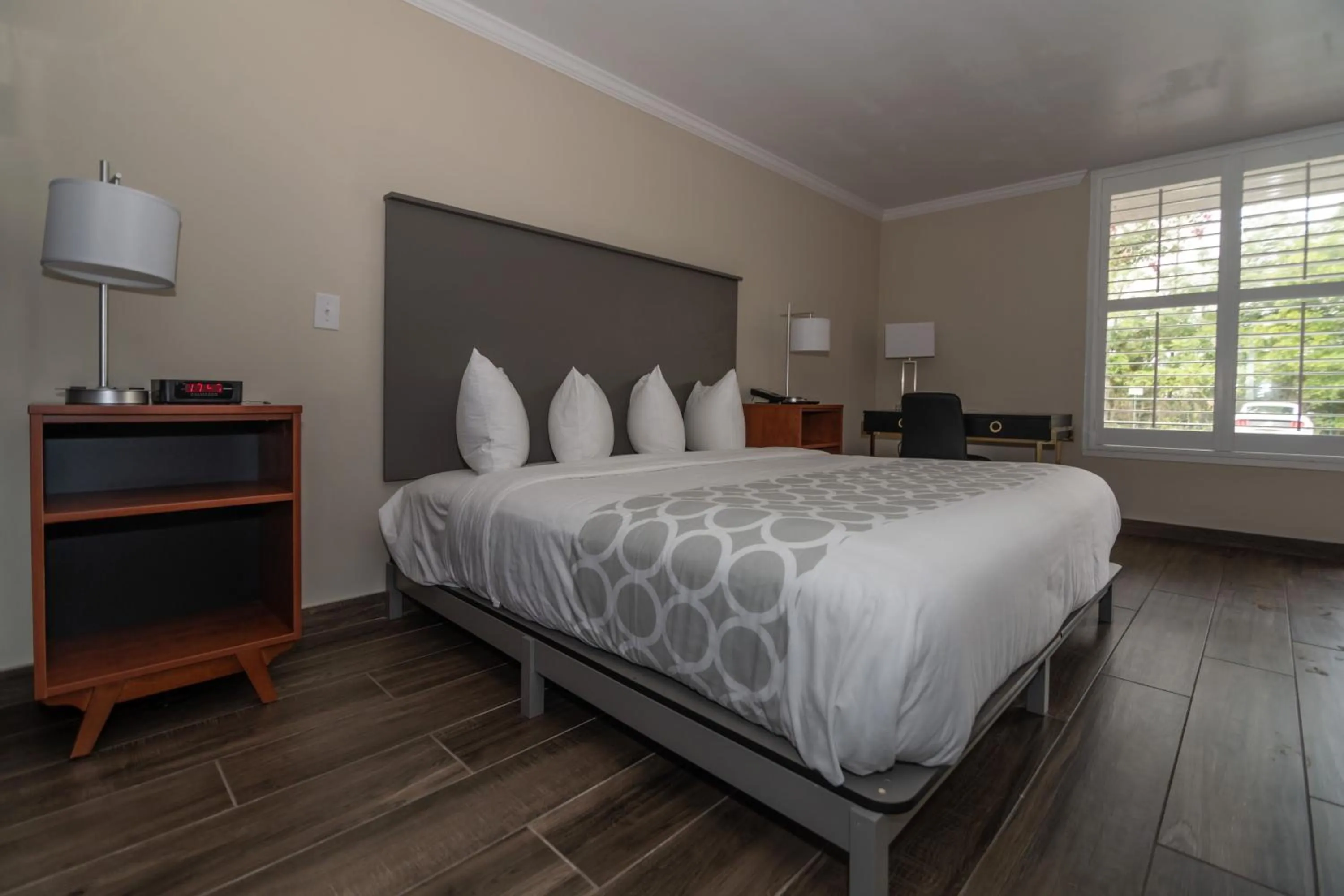 Photo of the whole room, Bed in Equus Inn I75