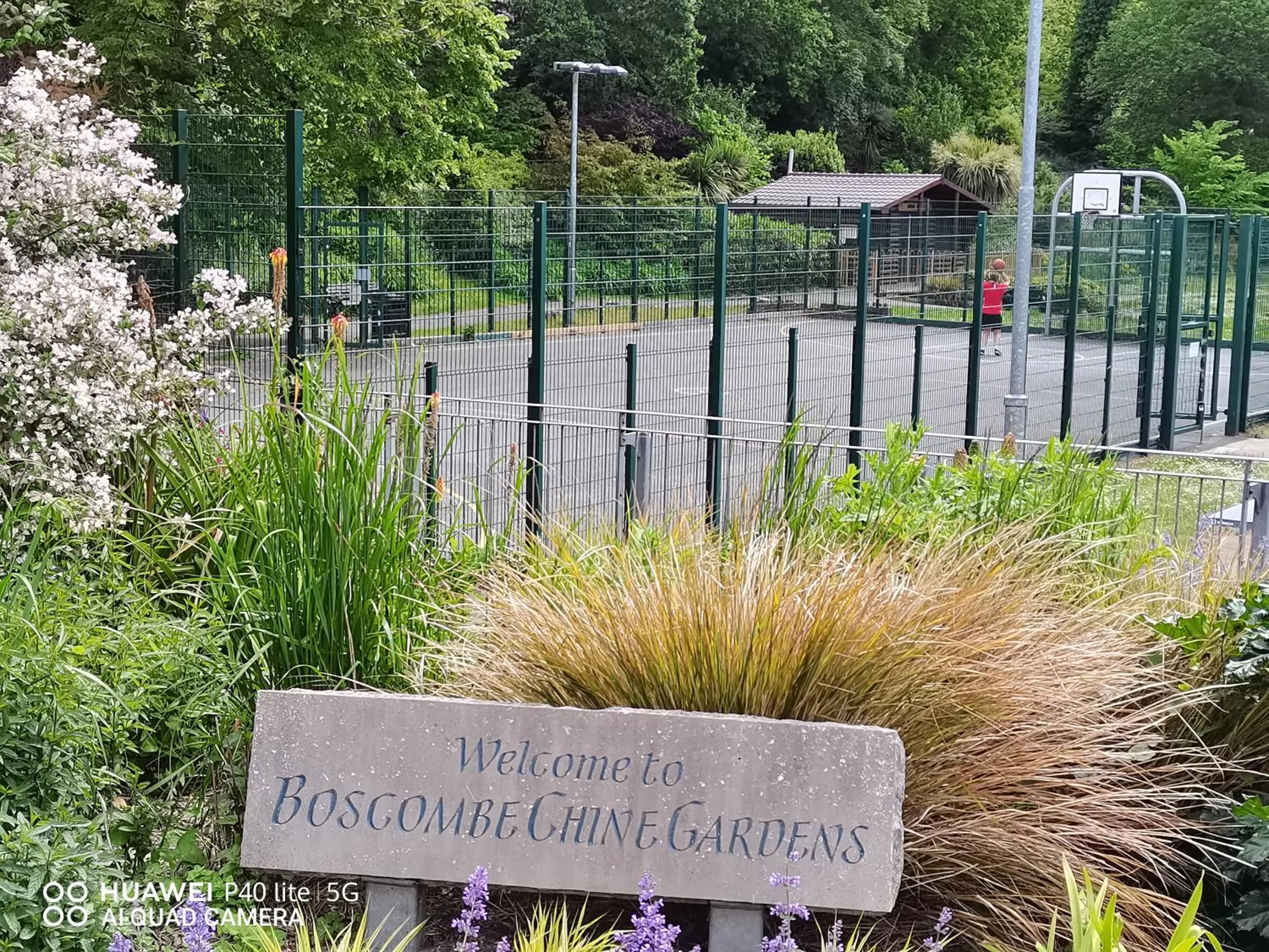 Seasons in Lincoln House