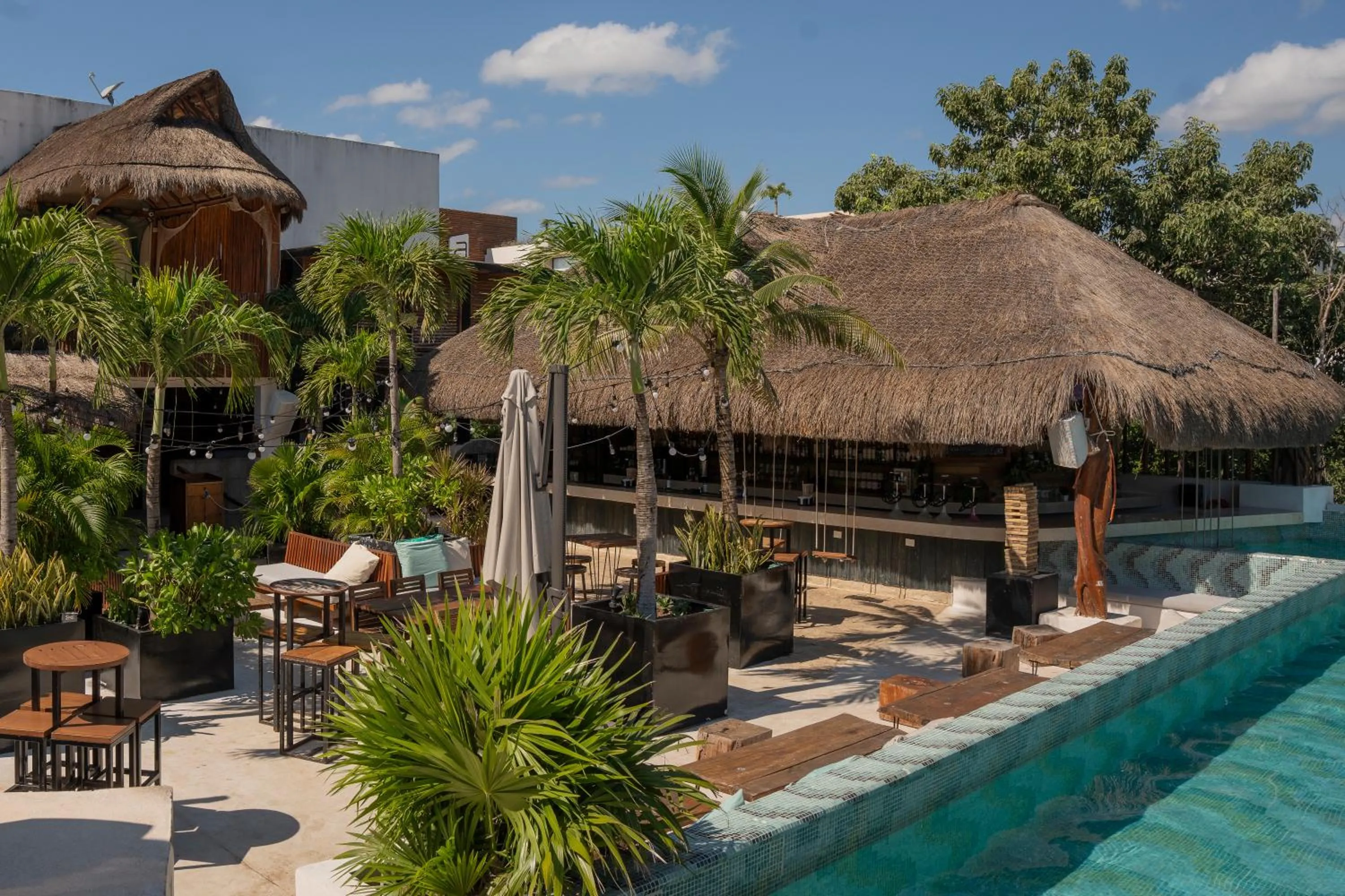 Lounge or bar in Mayan Monkey Tulum - Social Hotel