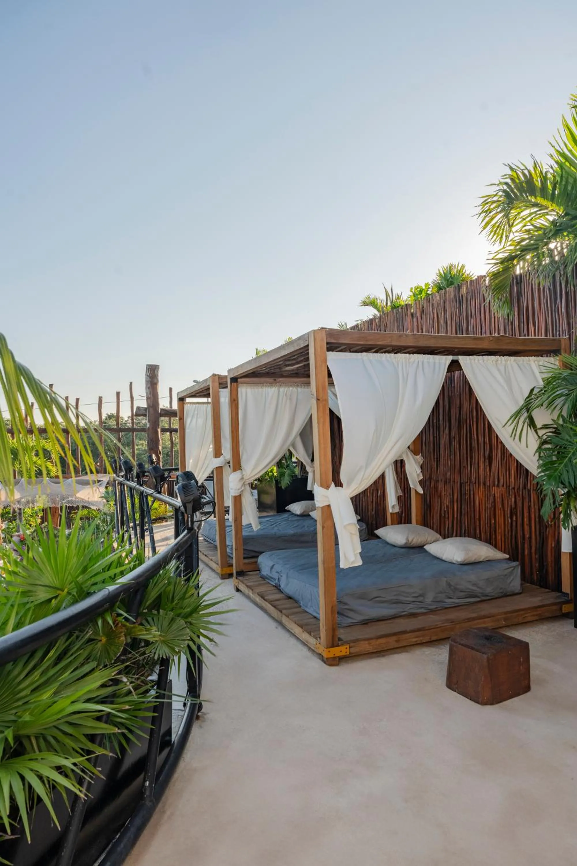 Day in Mayan Monkey Tulum - Social Hotel