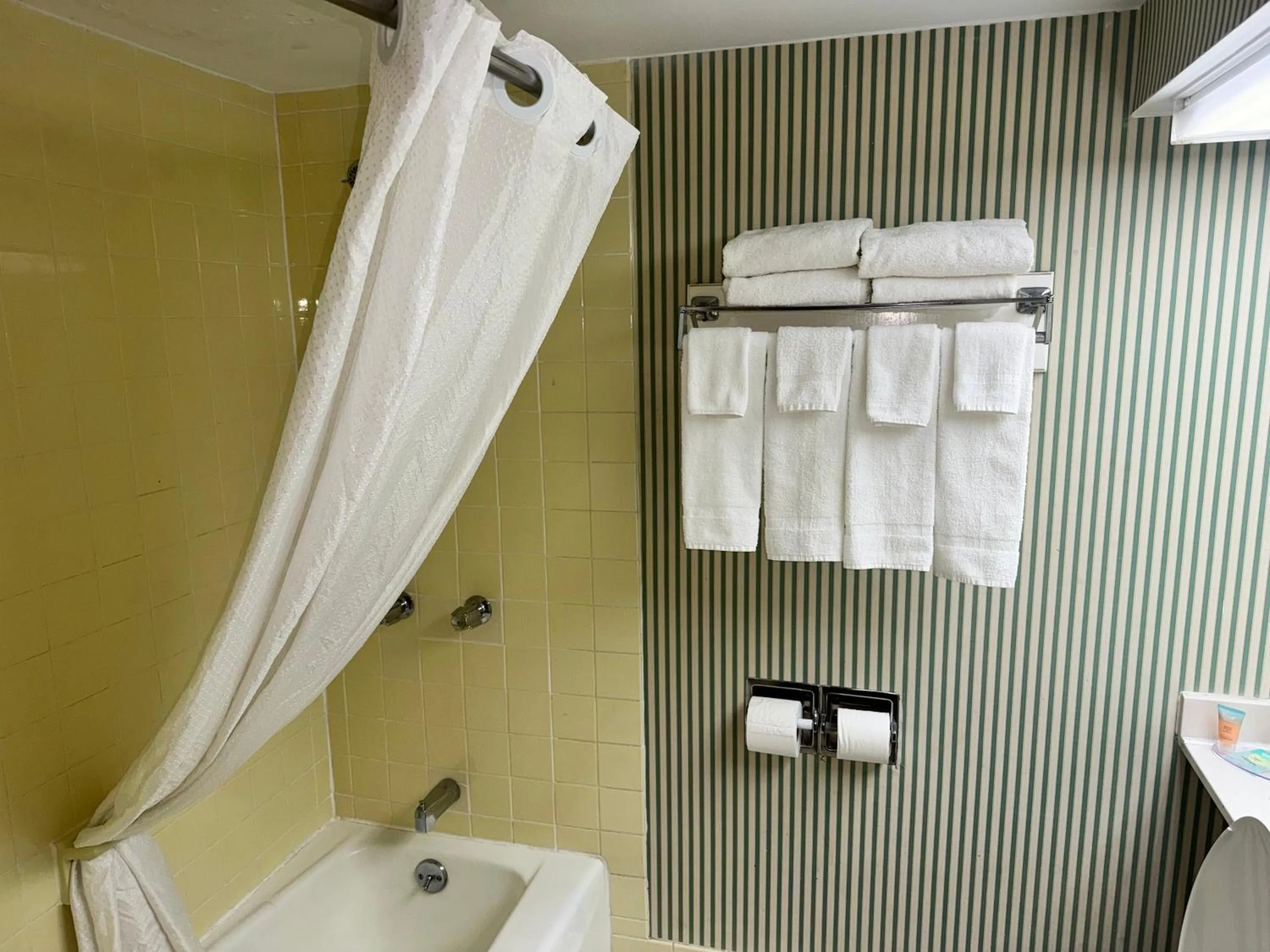 Bathroom in Barclay Hotel Atlanta Downtown