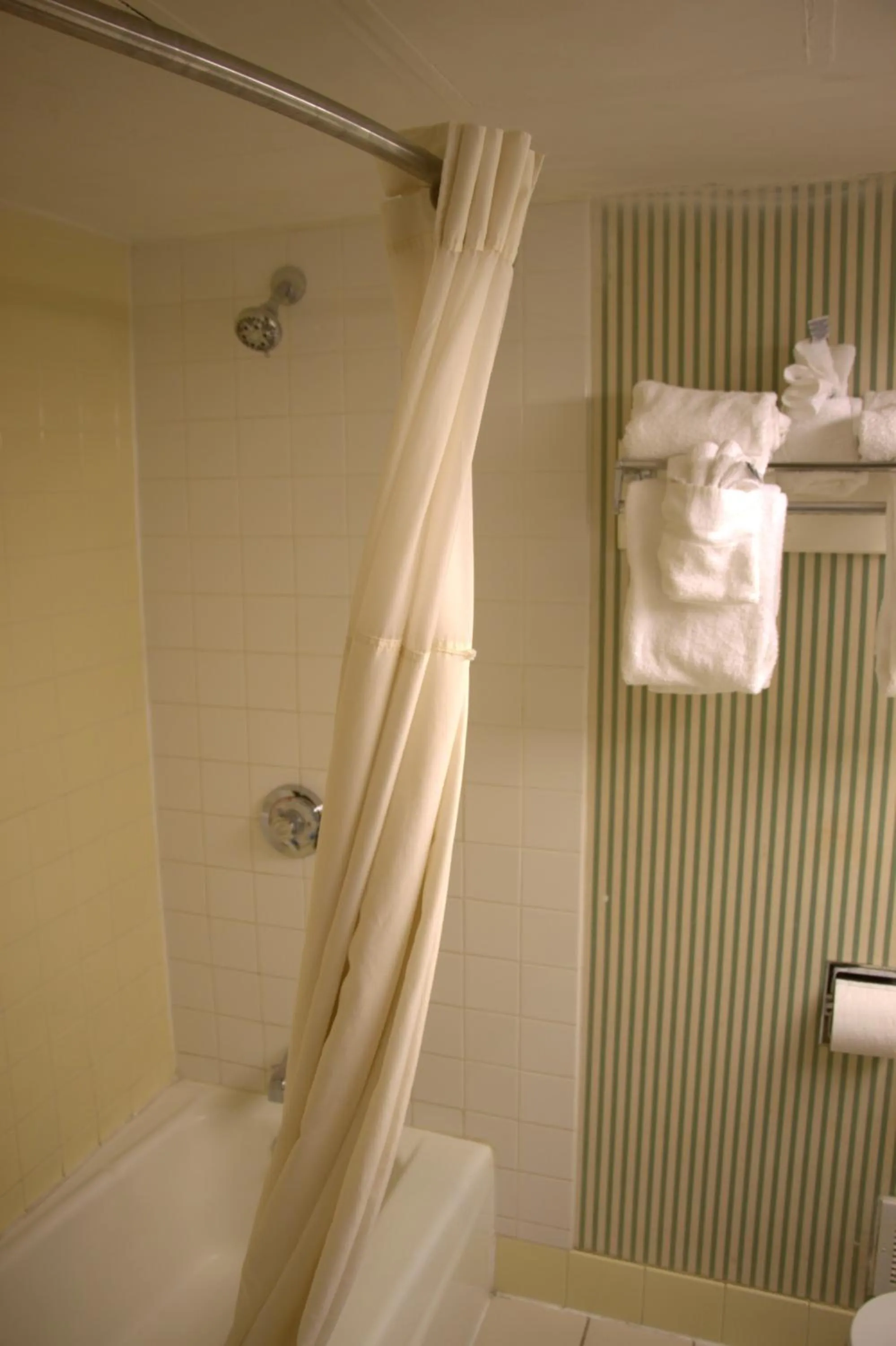 Bathroom in Barclay Hotel Atlanta Downtown