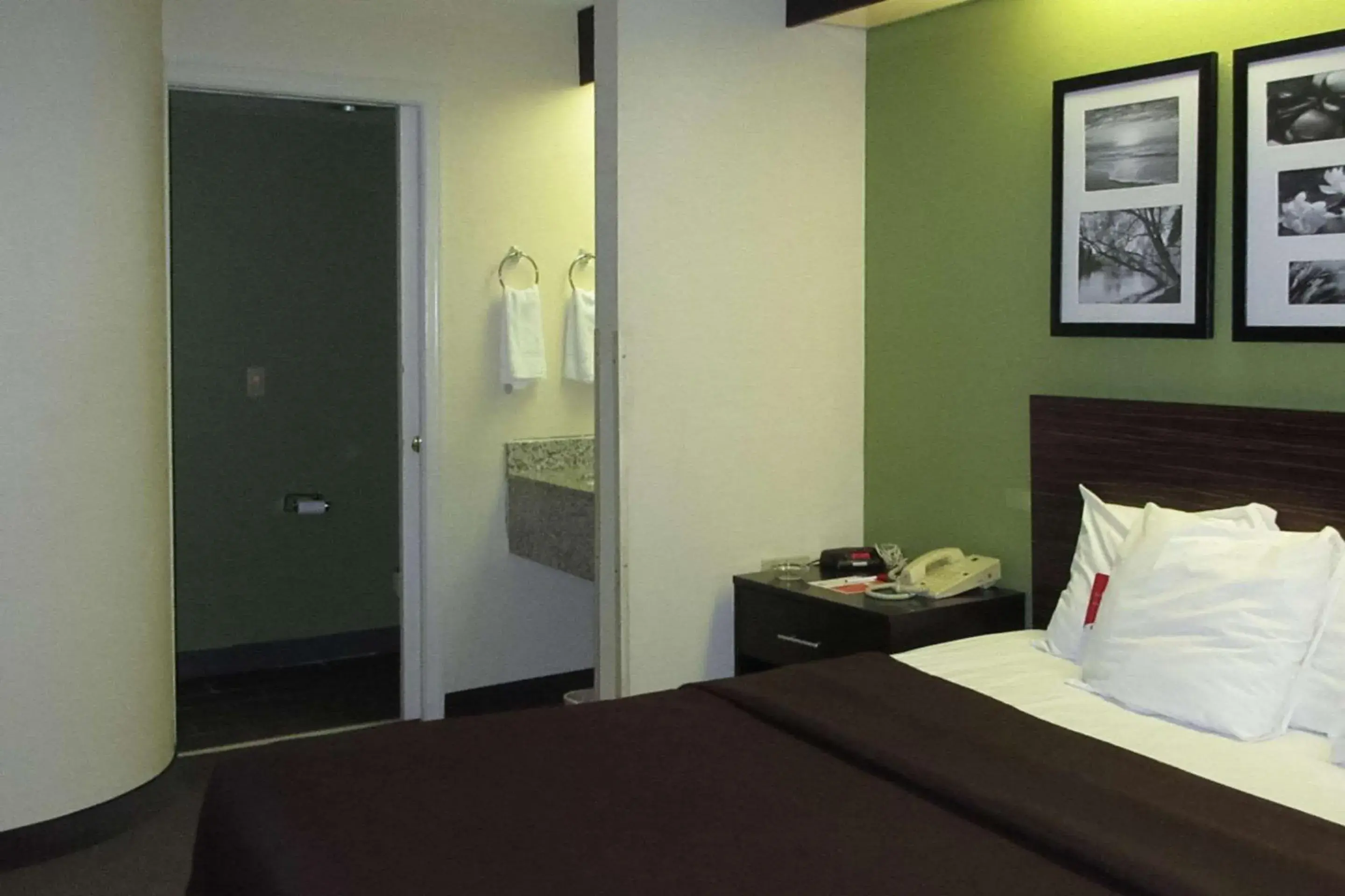 Queen Room - Non Smoking in Rodeway Inn Albany South Queen Room - Non Smoking in Rodeway Inn Albany South