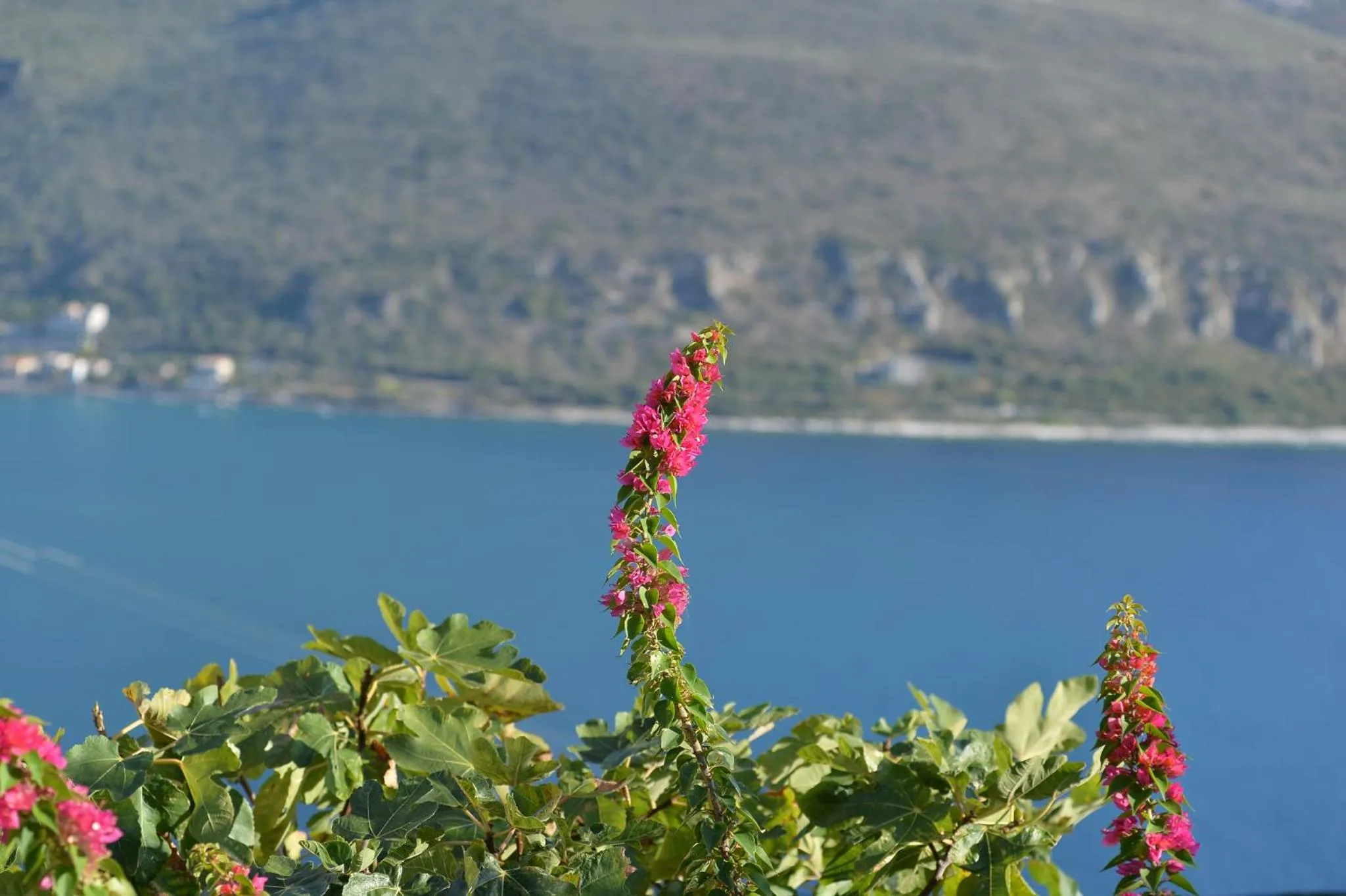 Day in Akrolithi Boutique Hotel & Suites