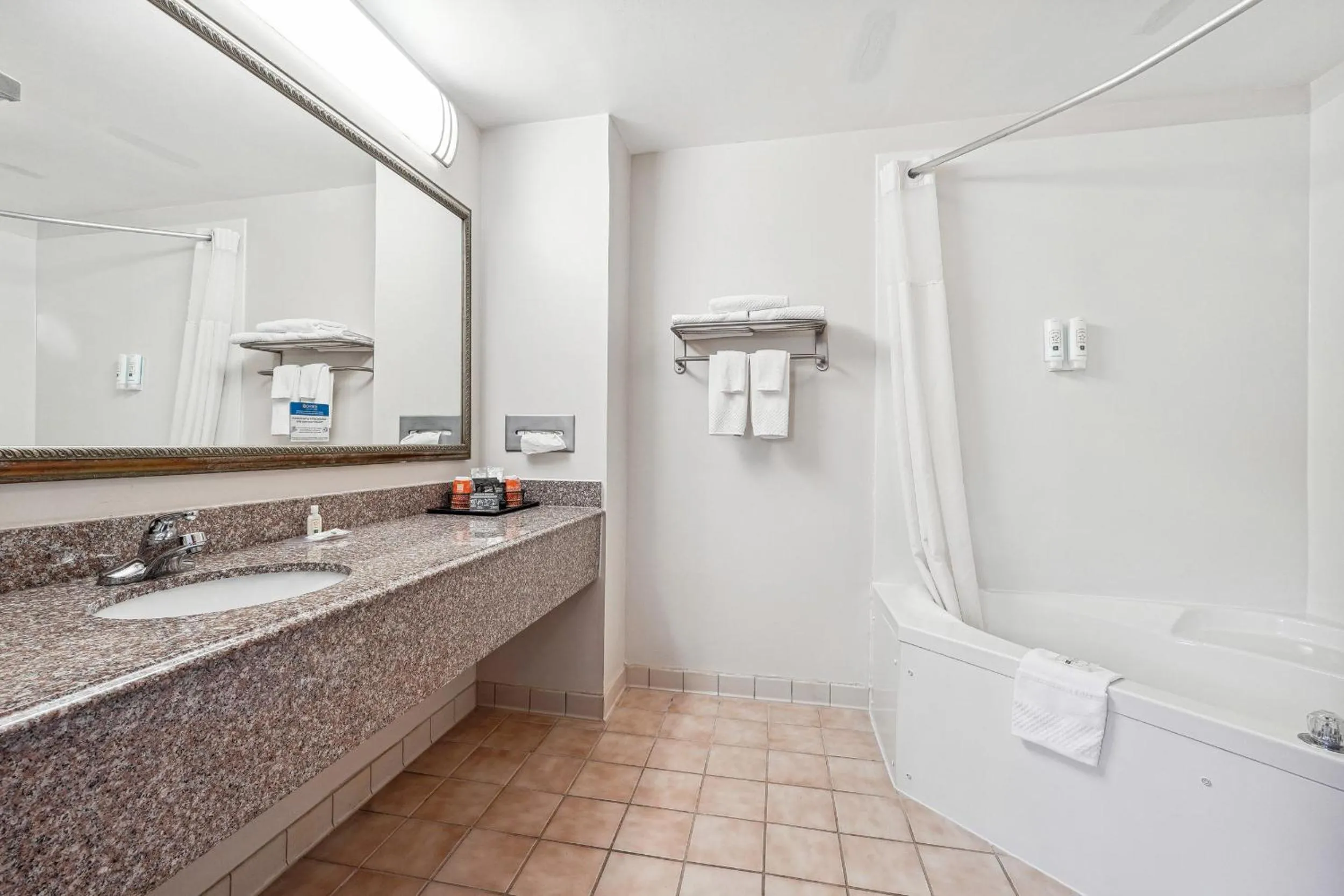 Bathroom in Quality Inn & Suites Dawsonville