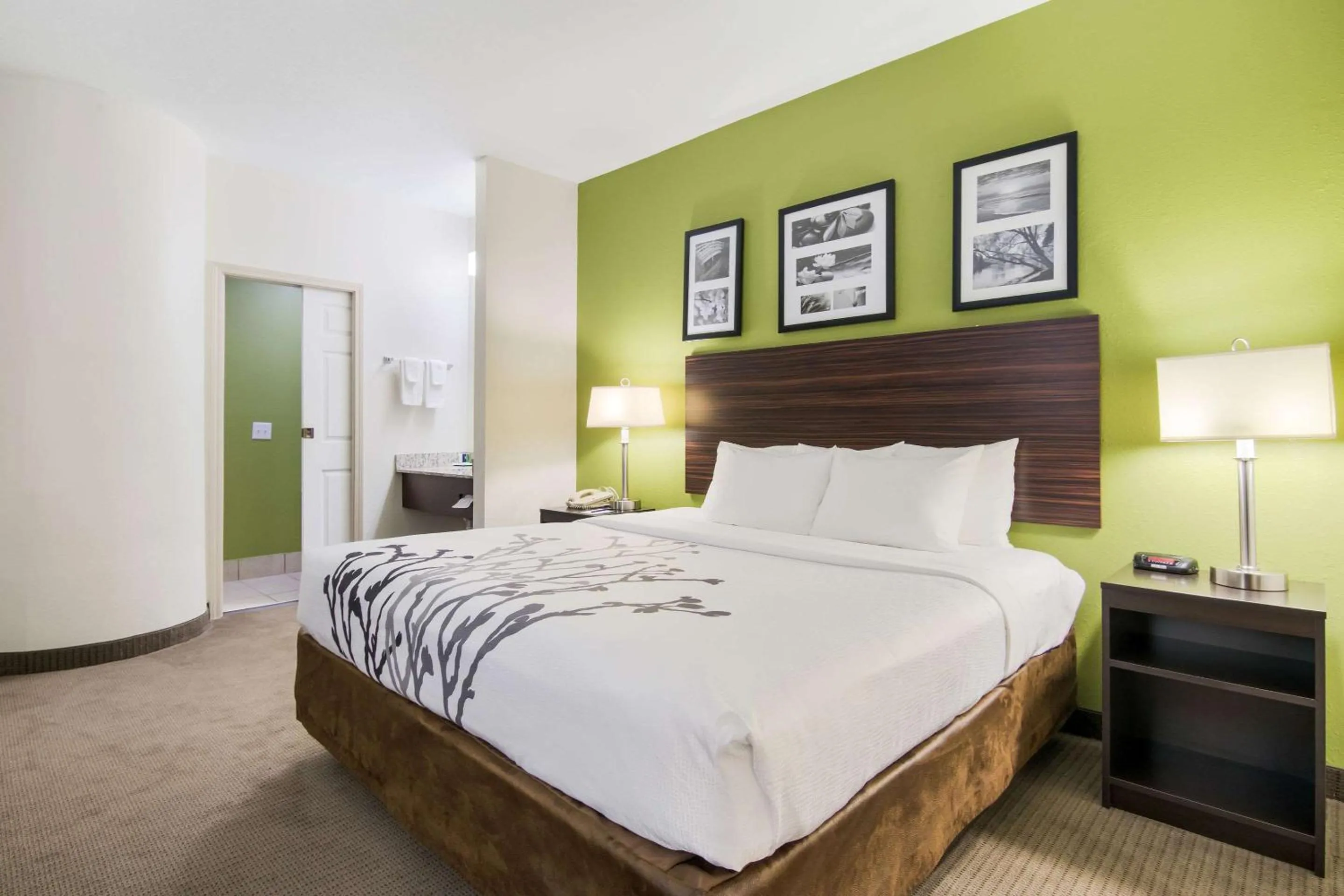 Photo of the whole room, Bed in Sleep Inn Peachtree City - Atlanta