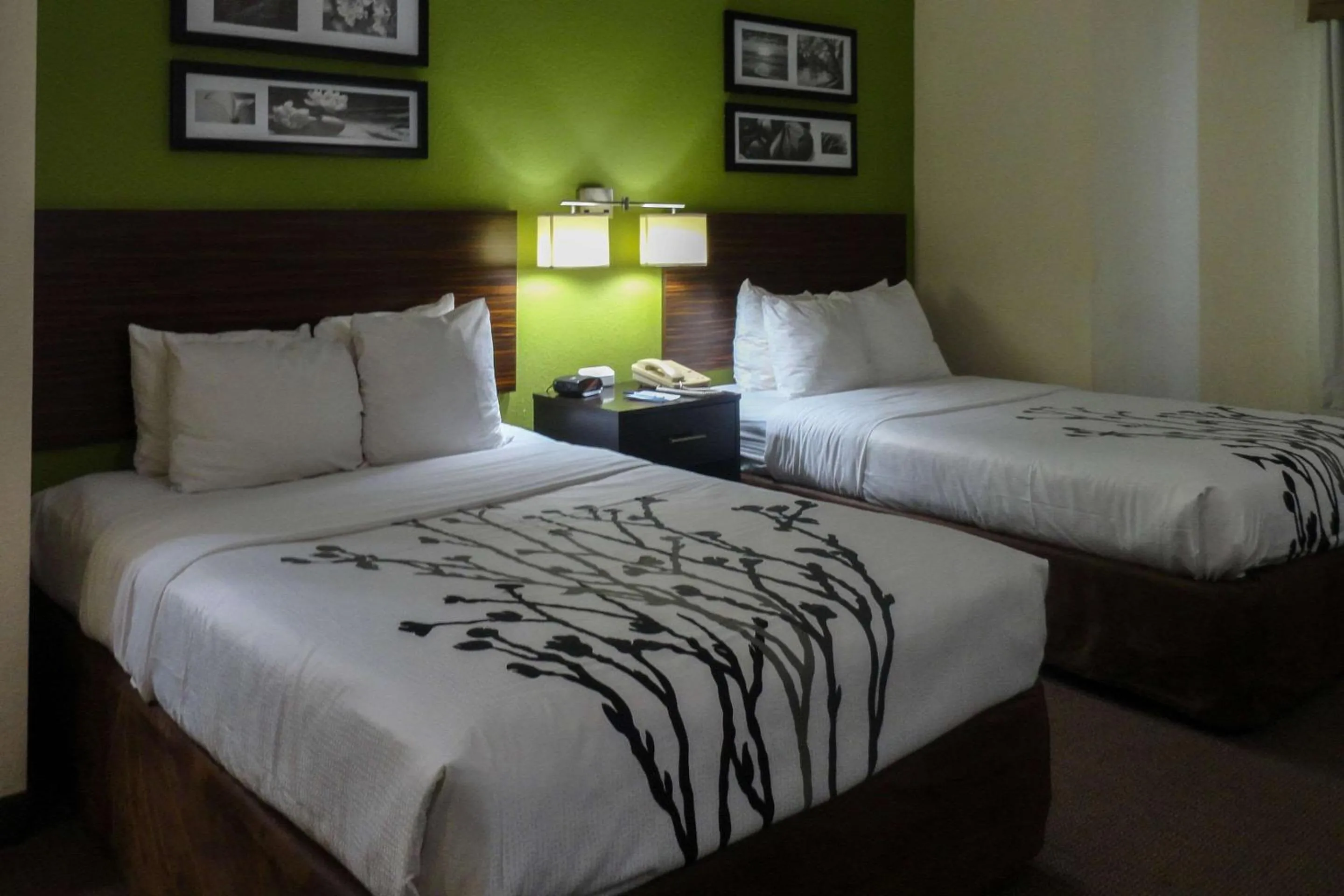 Bedroom, Bed in Sleep Inn & Suites Near Columbus - State University Area