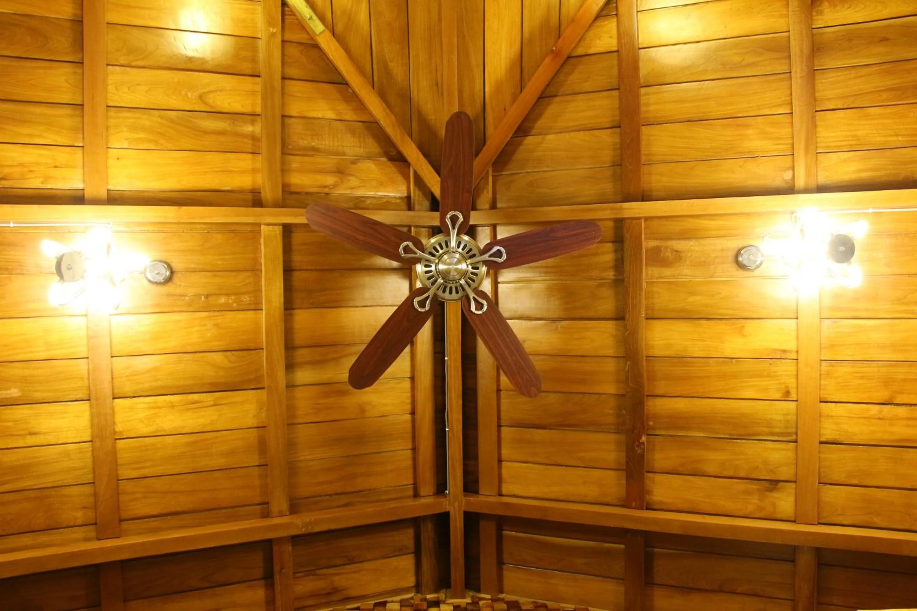 VIP in Rainforest Resort