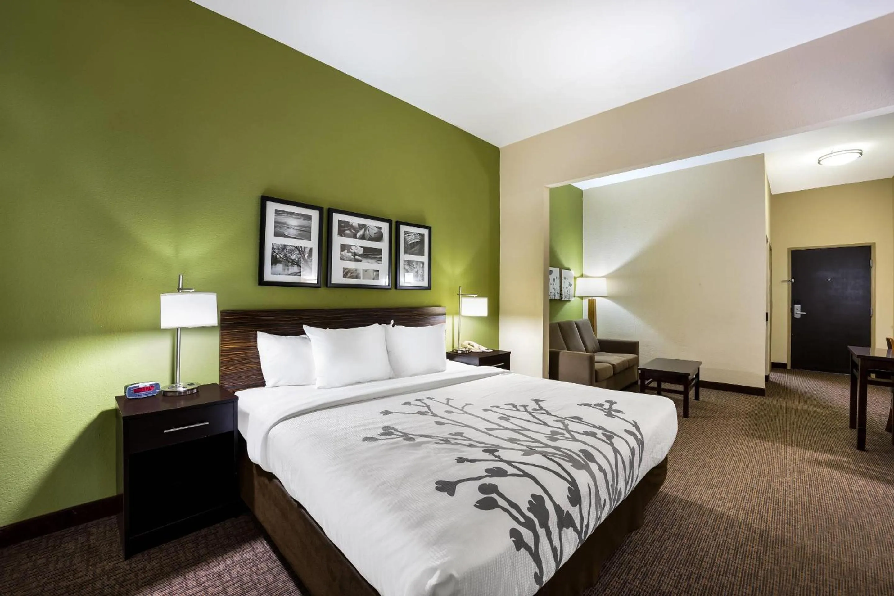 Bedroom, Bed in Sleep Inn & Suites Valdosta Mall Area