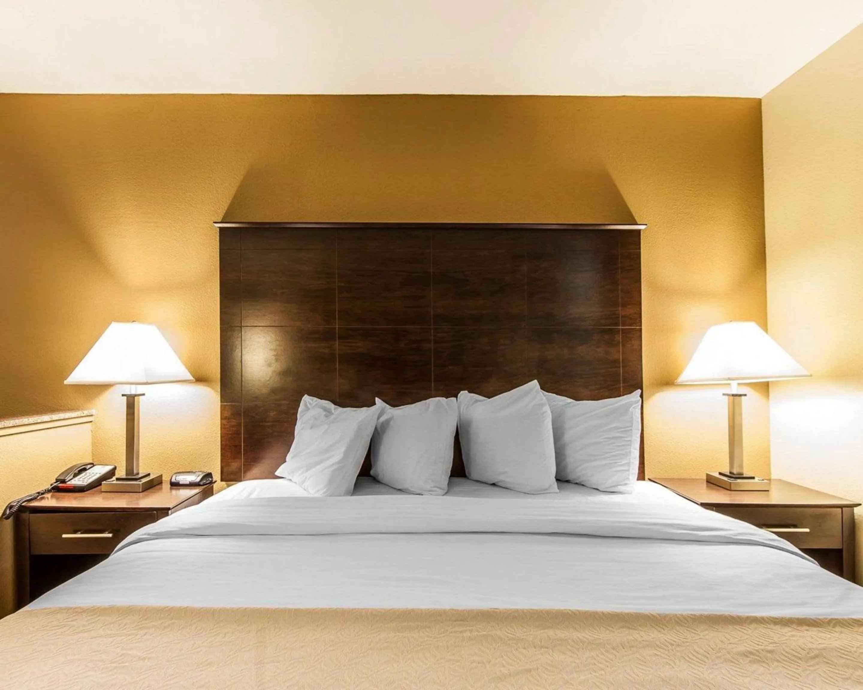 Photo of the whole room, Bed in Quality Inn & Suites Bremen