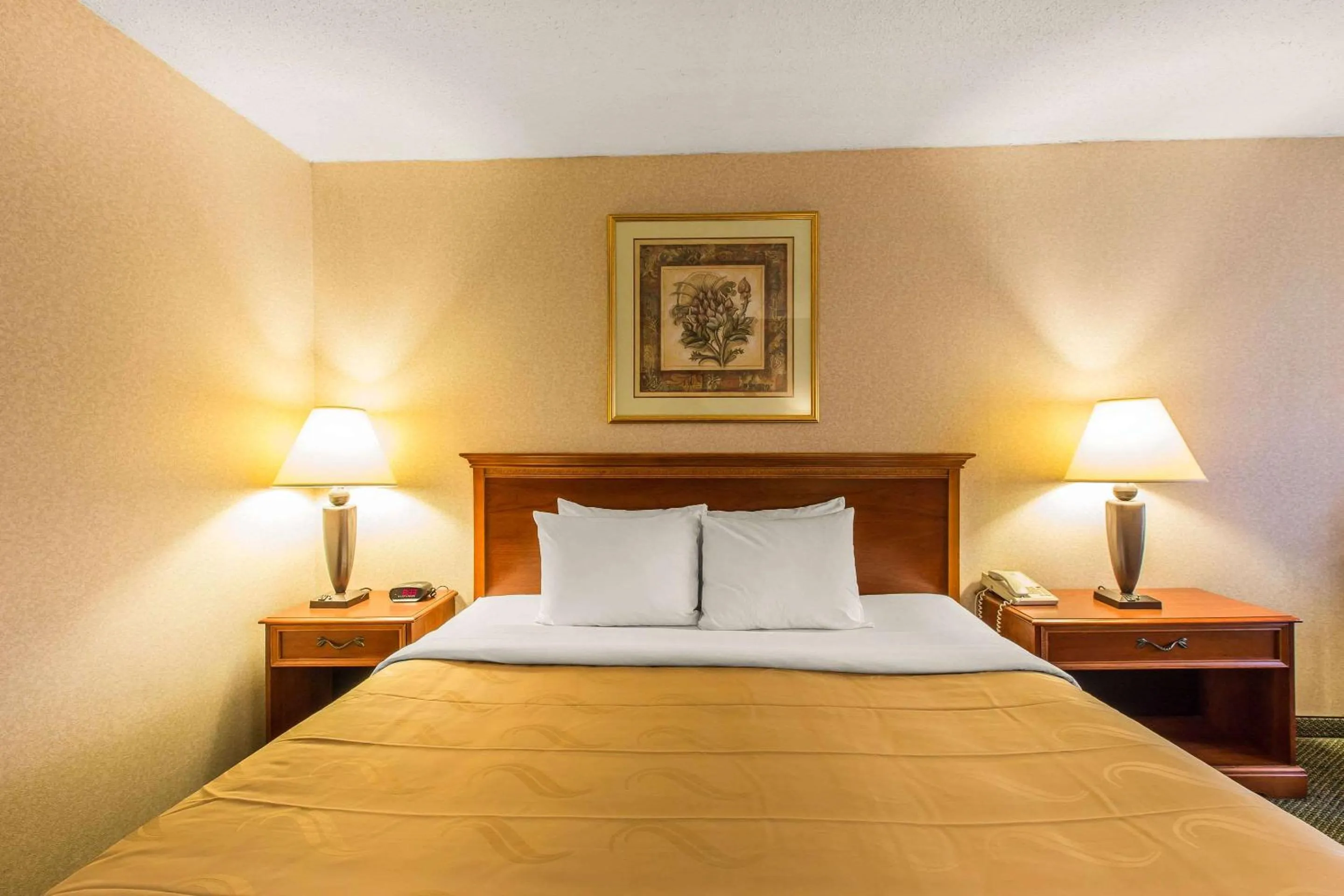 Bedroom, Bed in Quality Inn & Suites McDonough South I-75