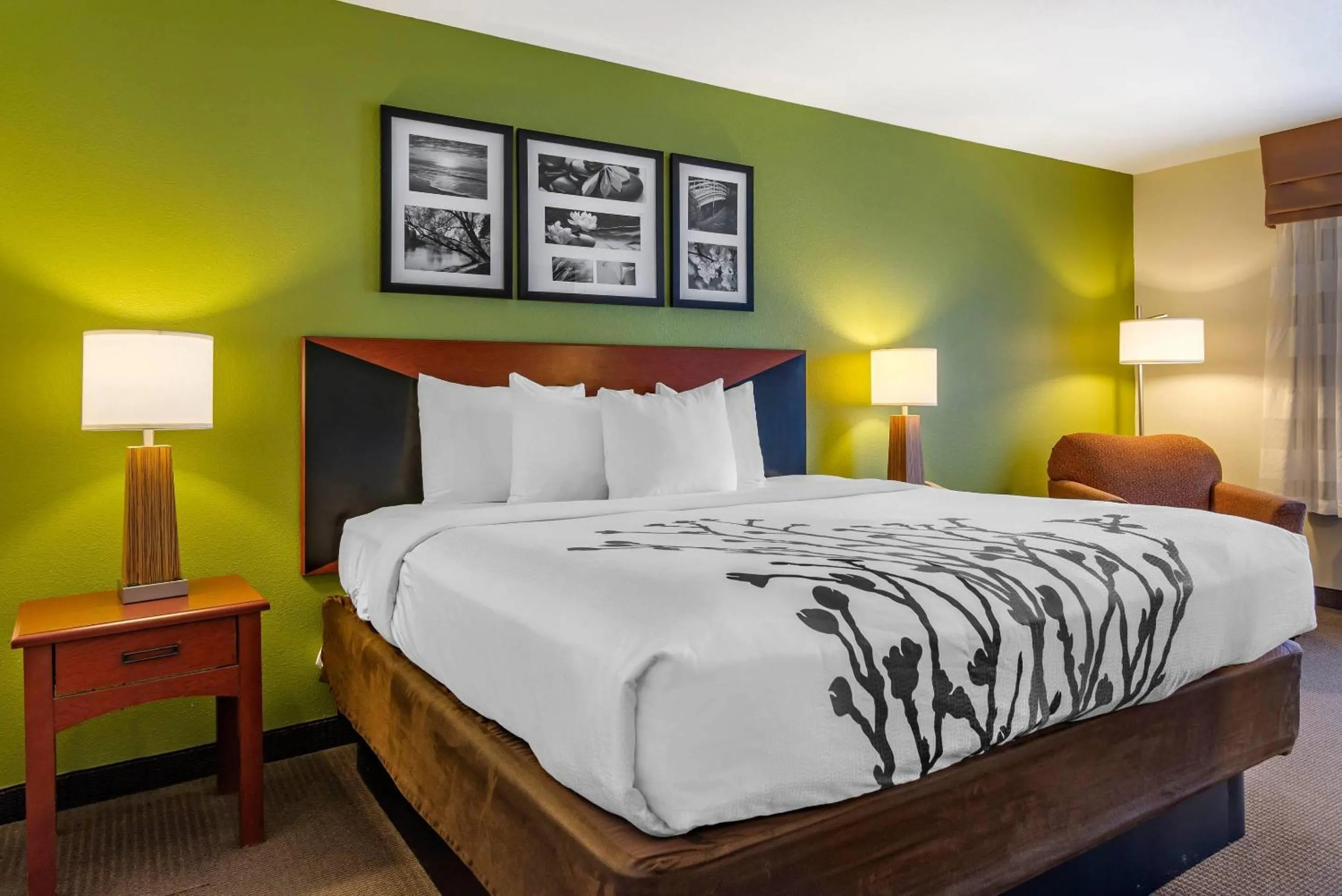 Bedroom, Bed in Sleep Inn & Suites Stockbridge Atlanta South