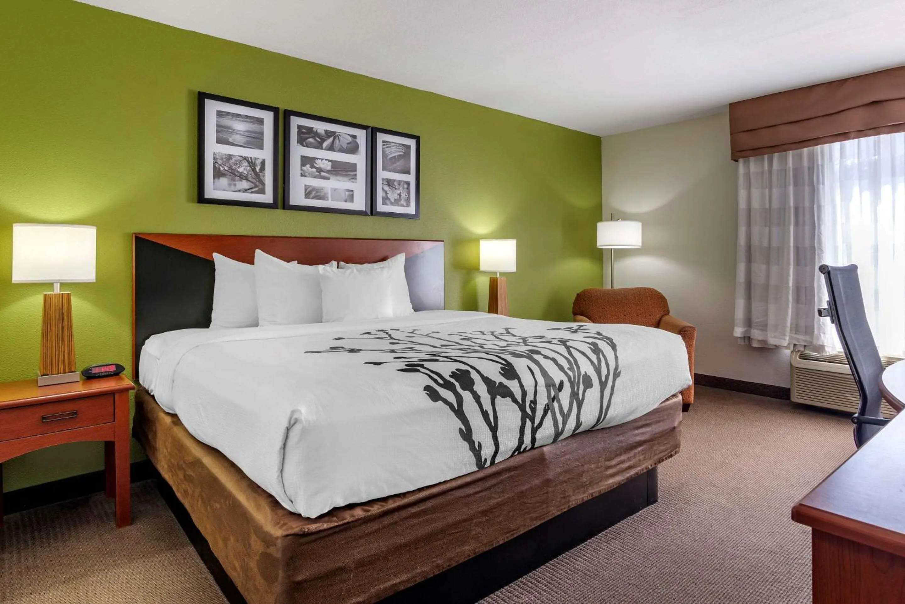 Photo of the whole room, Bed in Sleep Inn & Suites Stockbridge Atlanta South