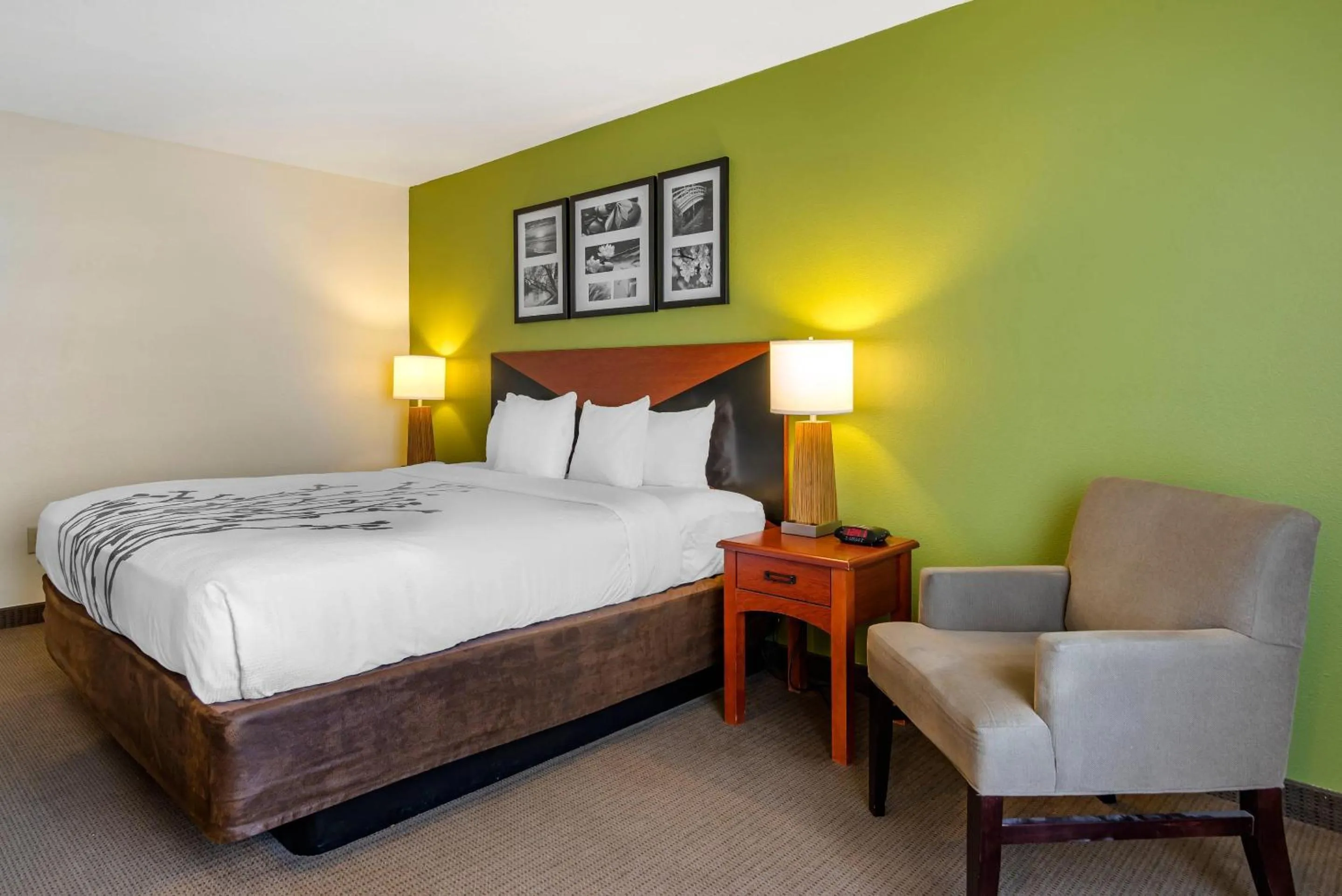 Bedroom, Bed in Sleep Inn & Suites Stockbridge Atlanta South