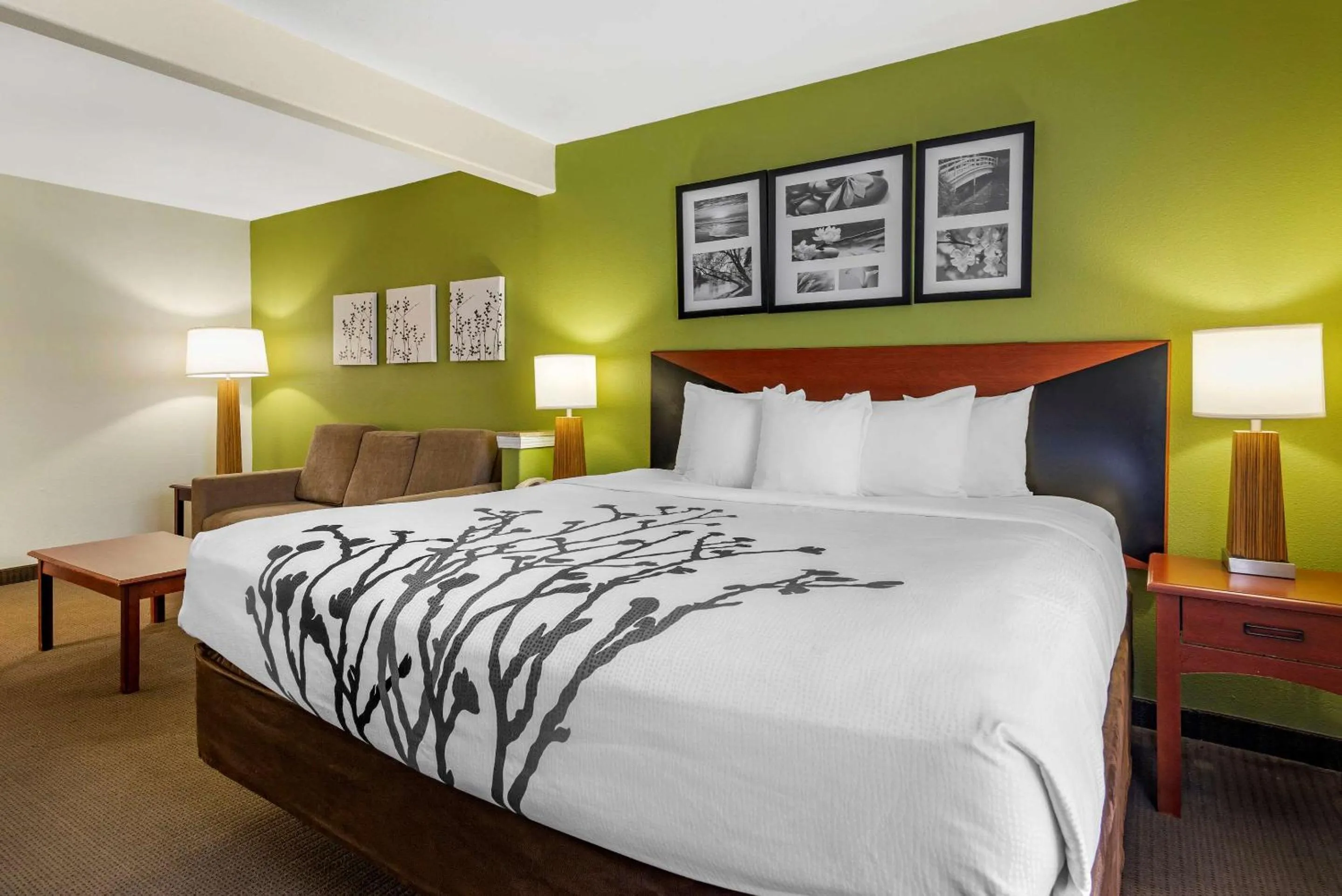 Photo of the whole room, Bed in Sleep Inn & Suites Stockbridge Atlanta South