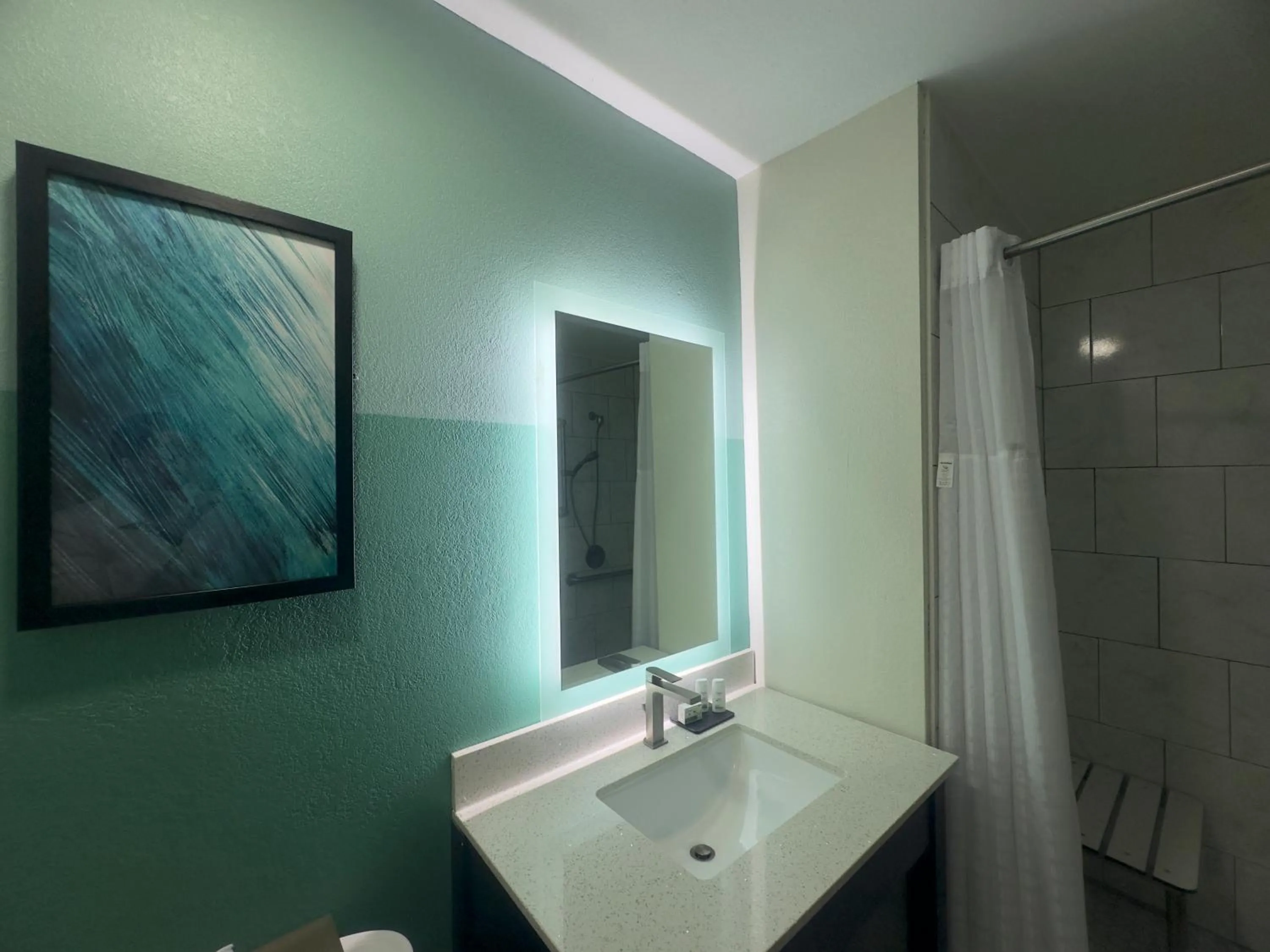 Bathroom in Wingate by Wyndham Kings Bay Naval Base I-95