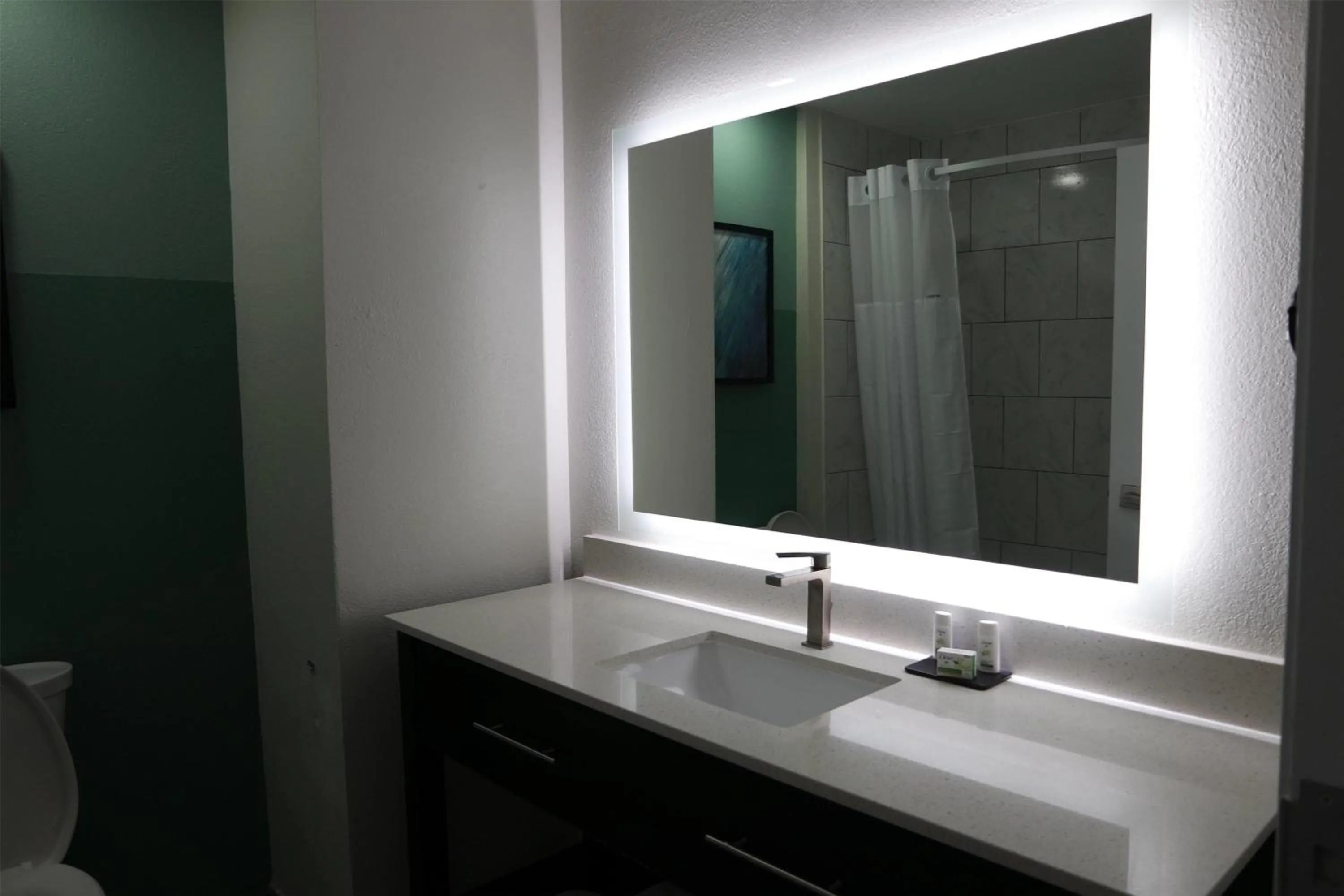 Bathroom in Wingate by Wyndham Kings Bay Naval Base I-95