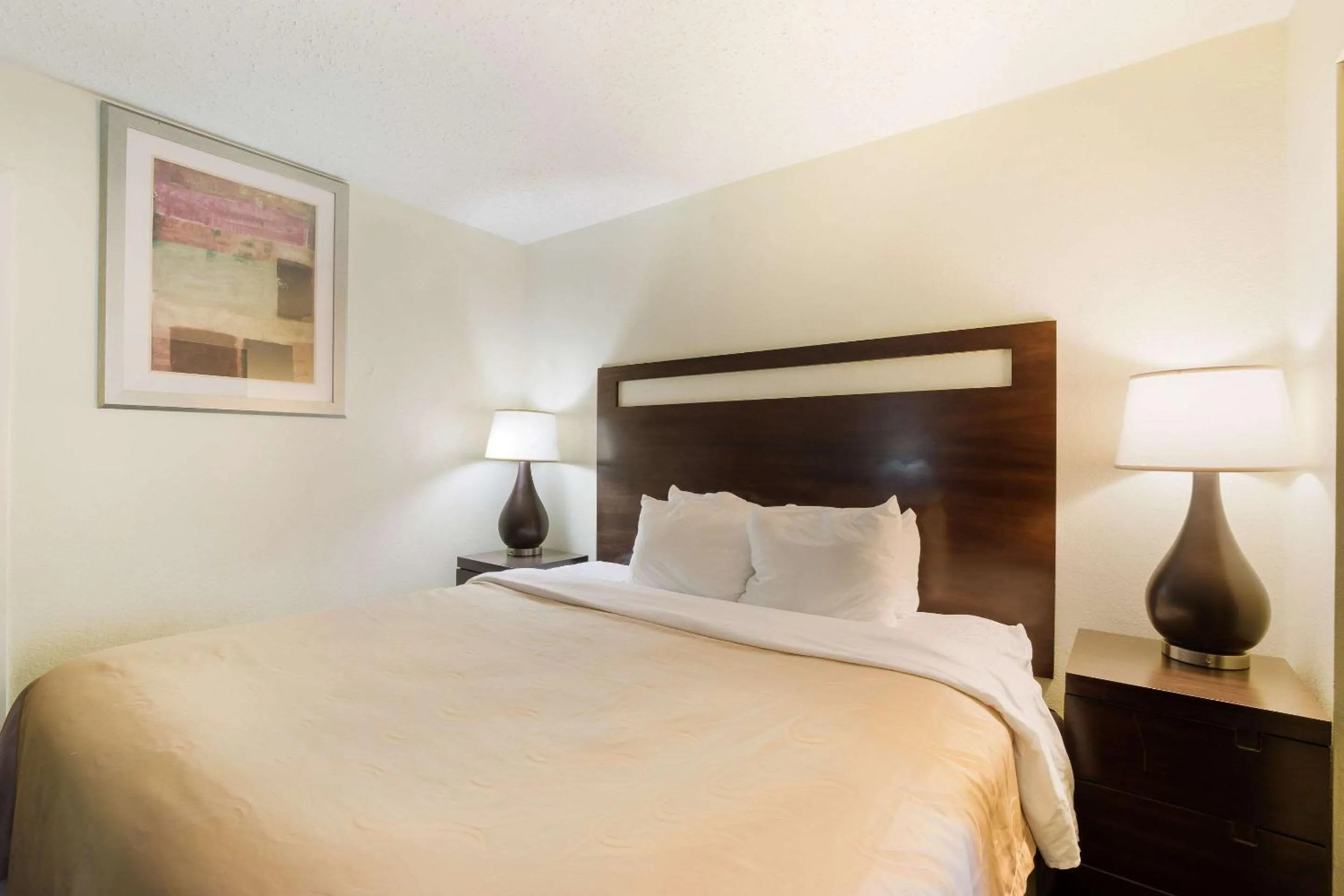 Photo of the whole room, Bed in Quality Inn & Suites Conference Center Statesboro Historic District