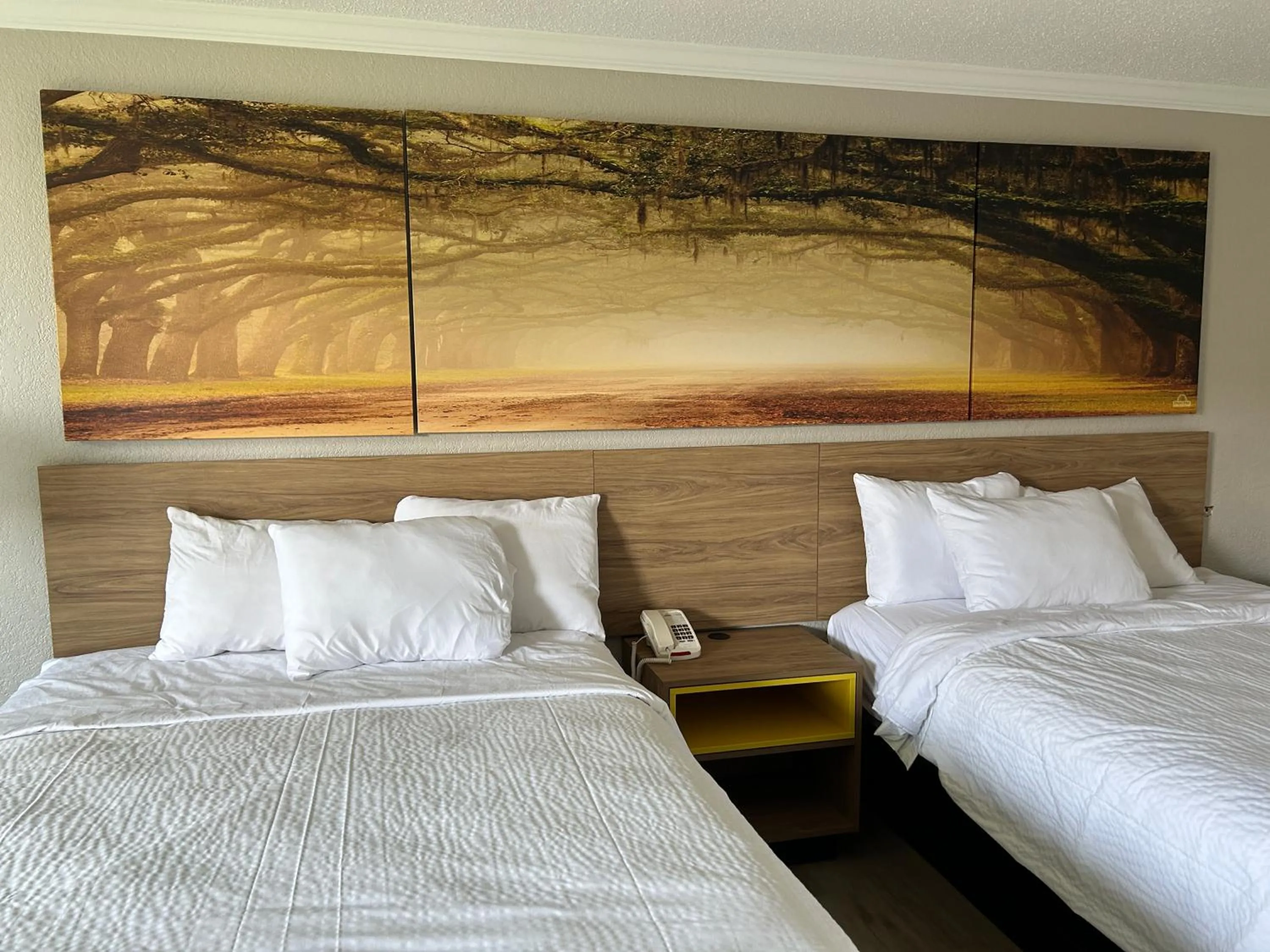 Bed in Days Inn by Wyndham Hinesville Near Fort Stewart, Newly Renovated, Free Hot Breakfast, Restaurant and Bar