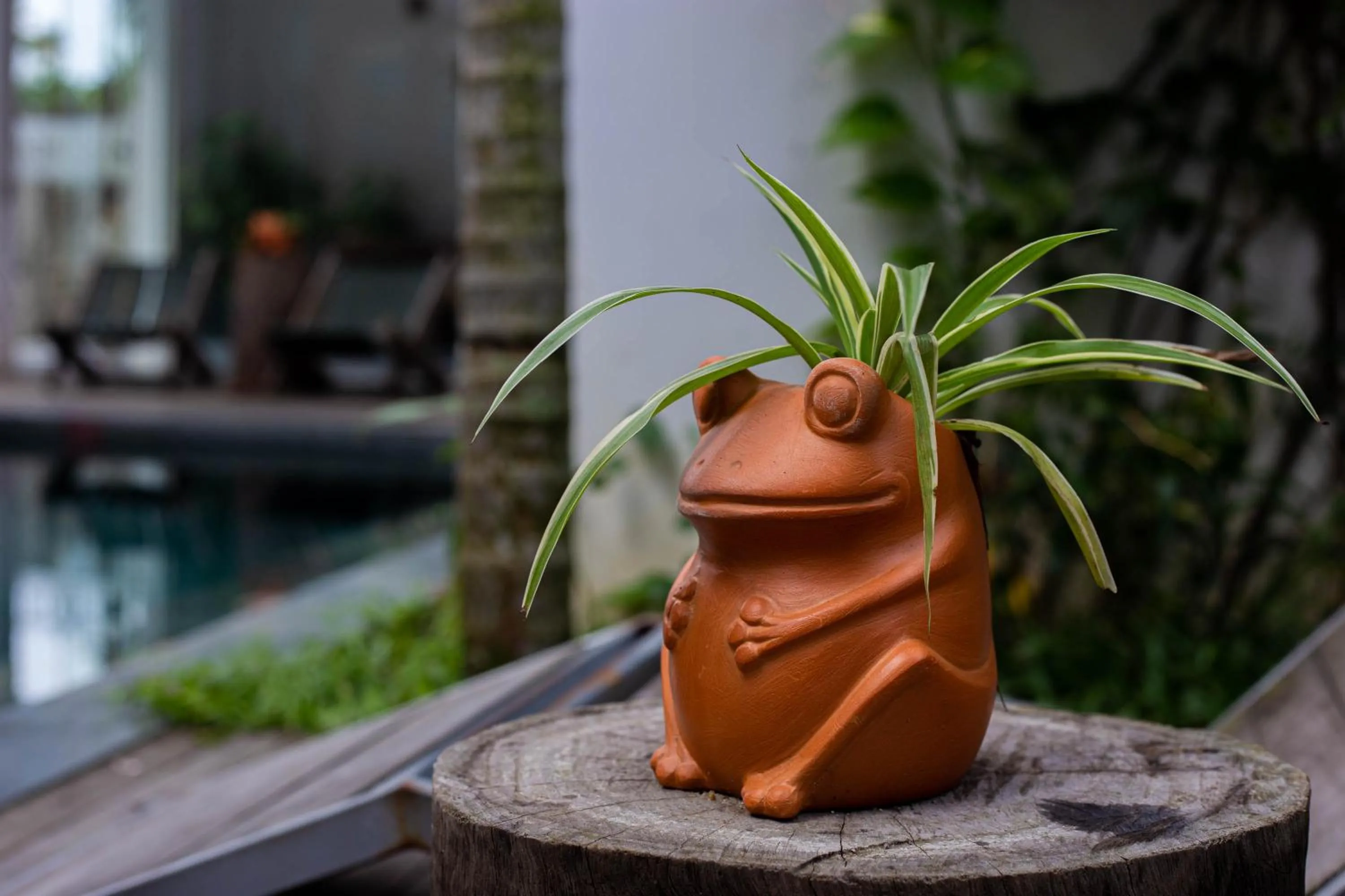 Property building in Hoi An Fairy Garden Villa