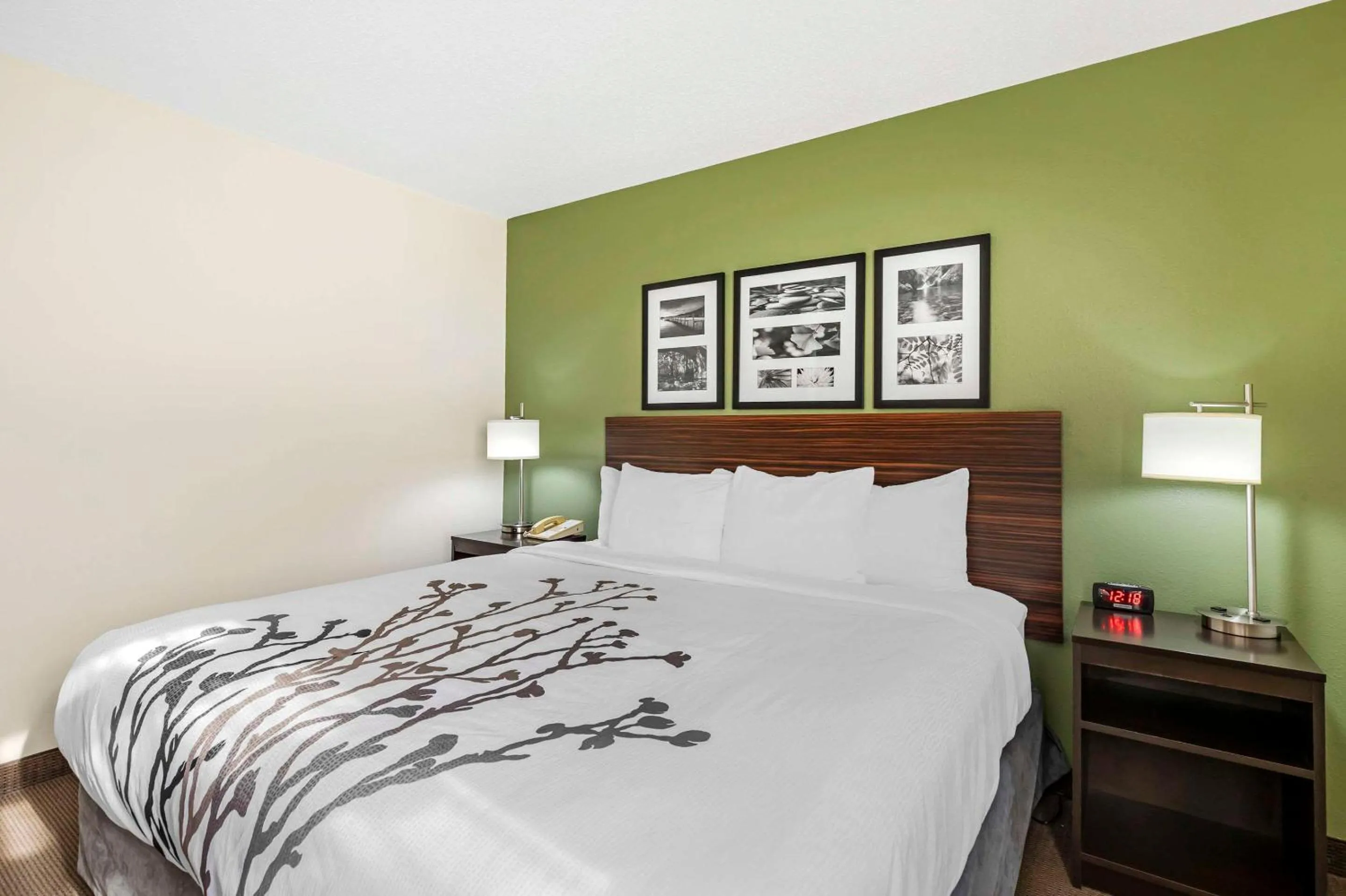 Bedroom, Bed in Sleep Inn & Suites Charles City