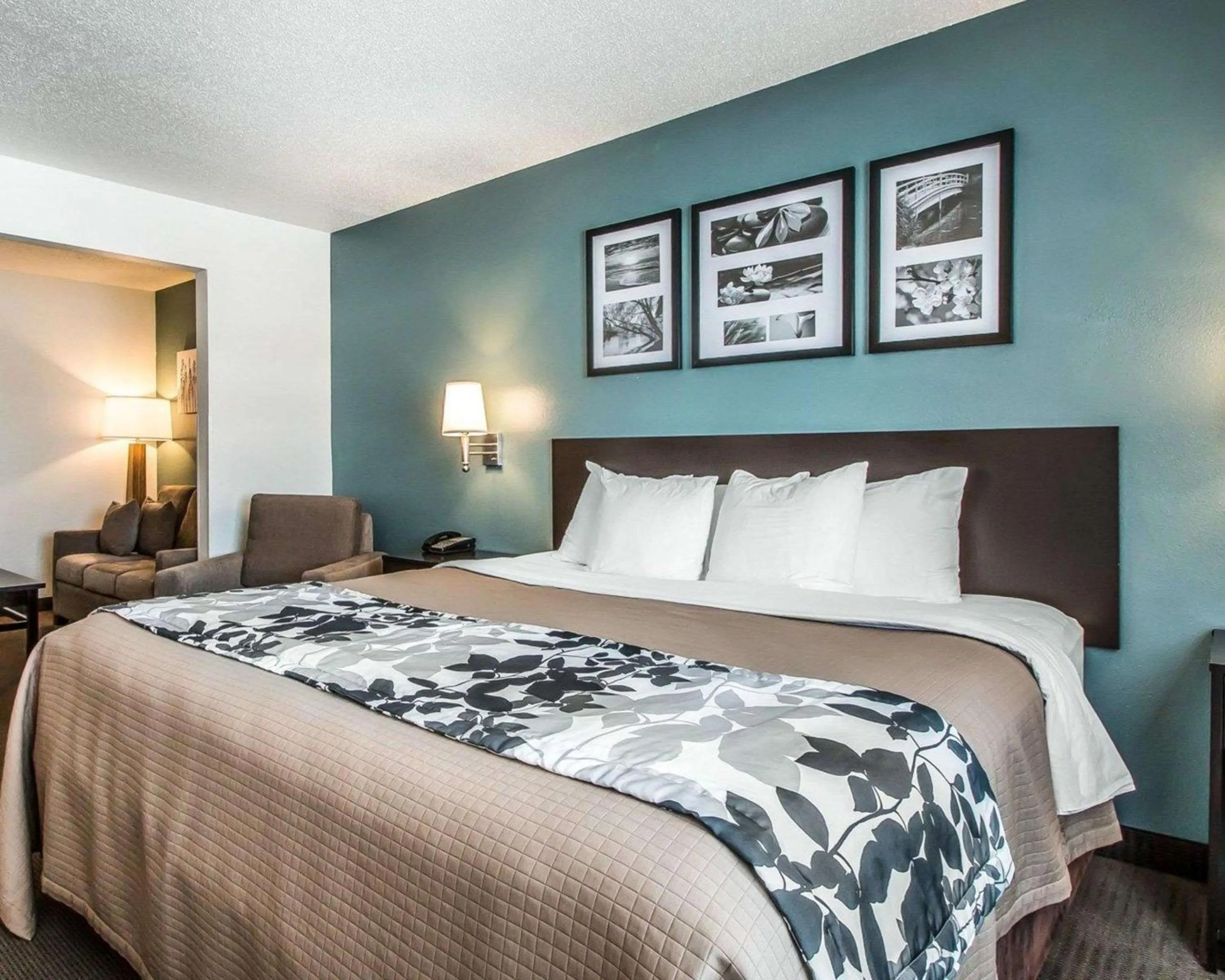 Photo of the whole room, Bed in Sleep Inn & Suites Mount Vernon