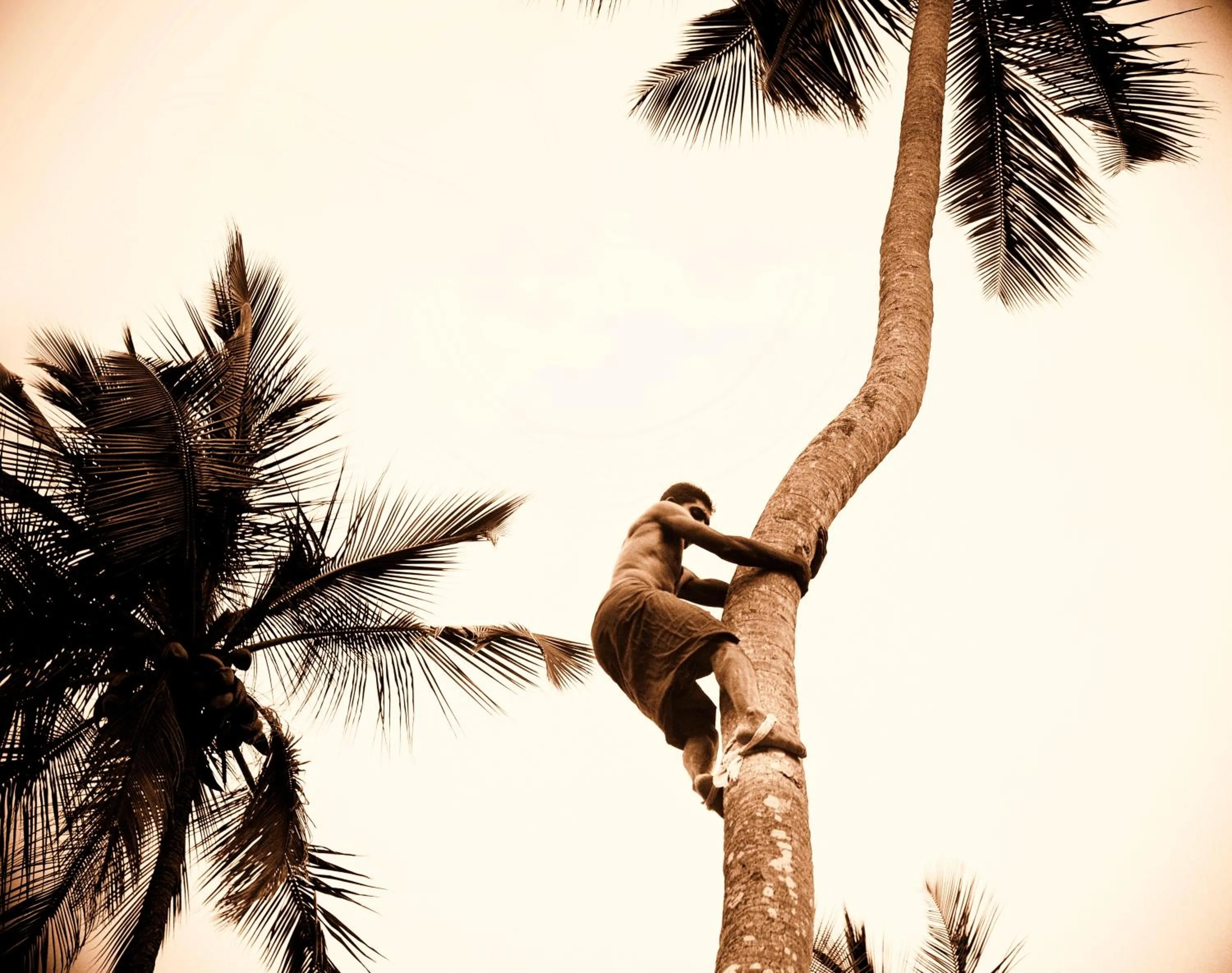 People in The Flame Tree Estate & Hotel