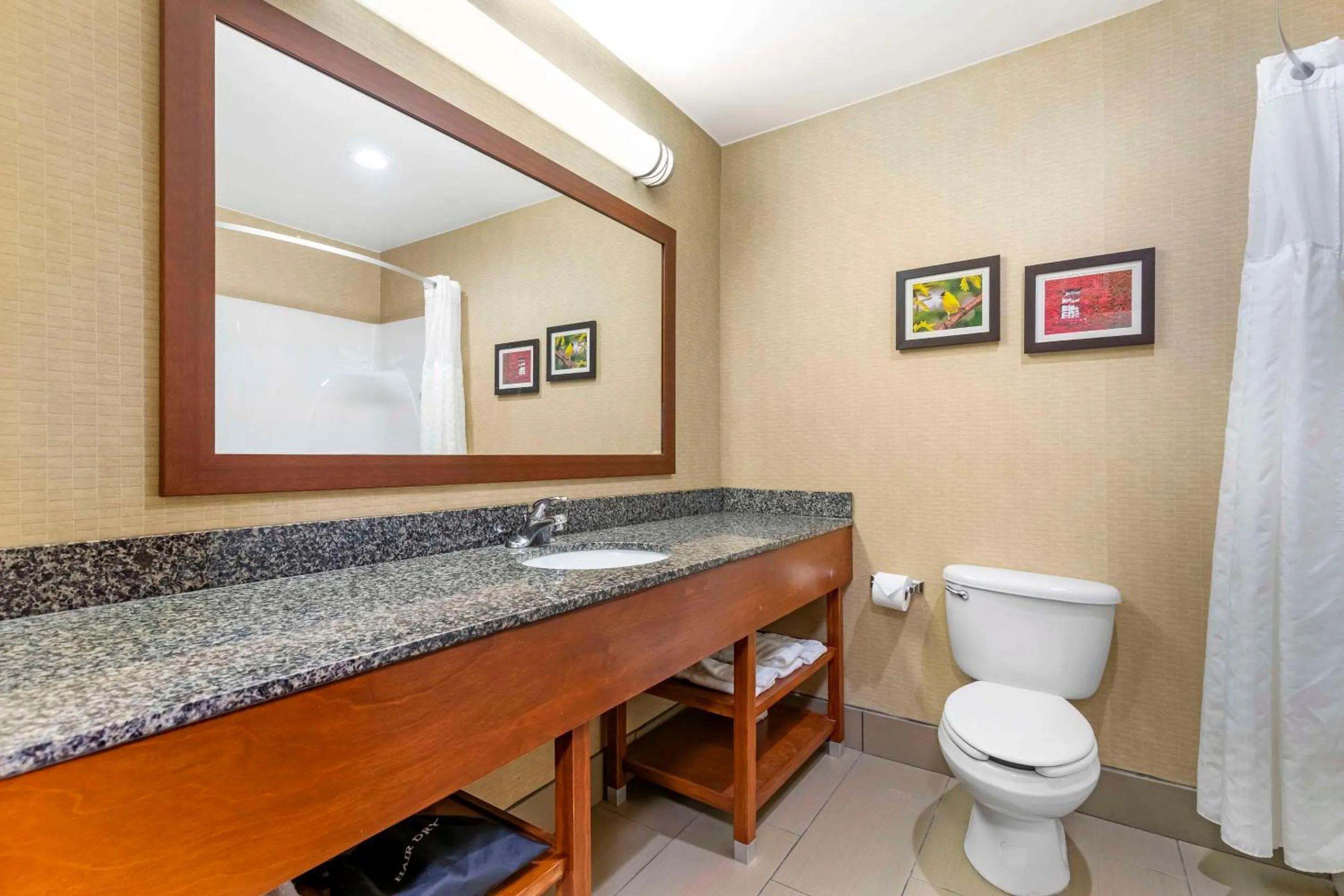 Bedroom in Comfort Inn & Suites Grinnell near I-80