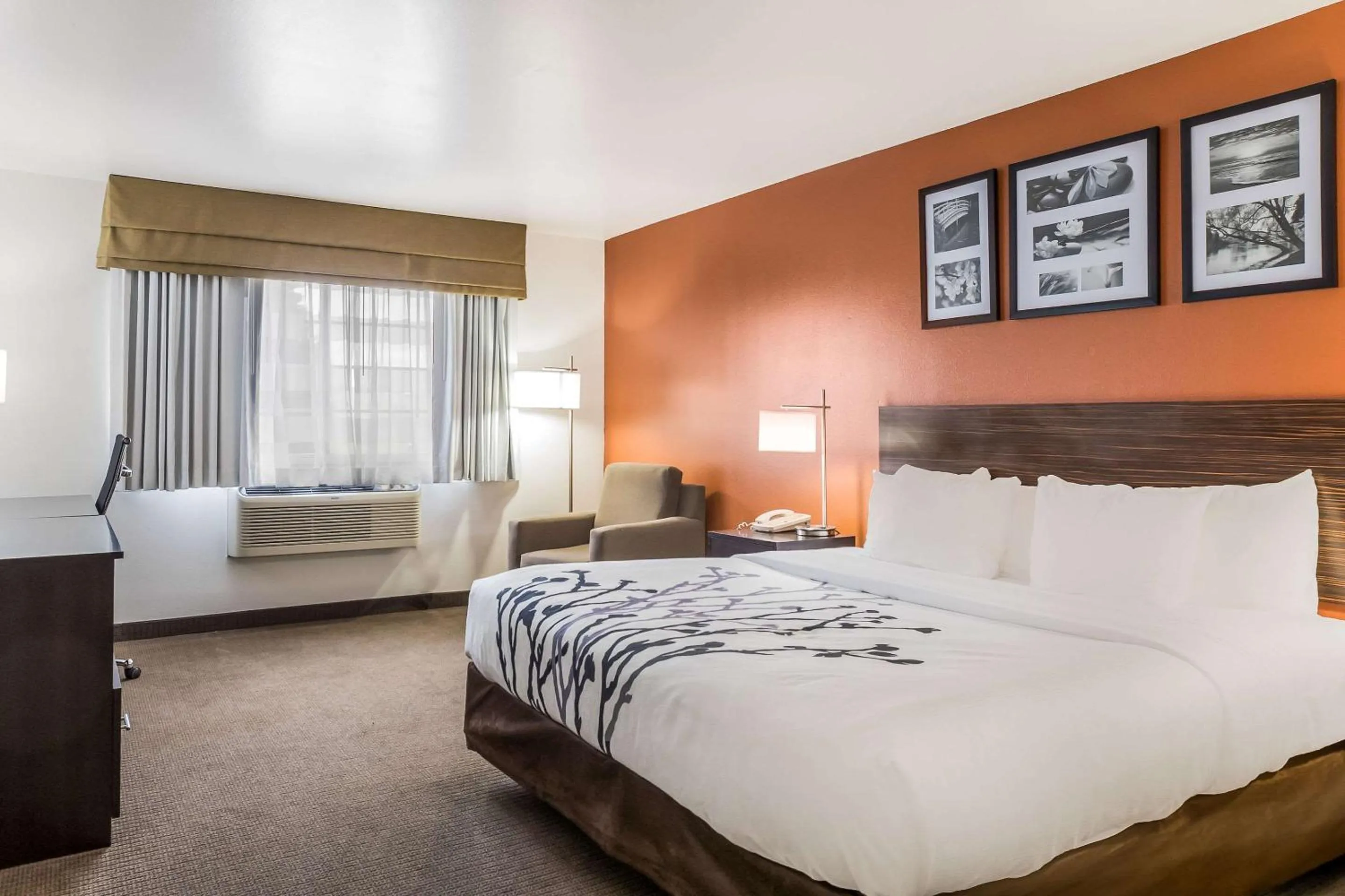 Photo of the whole room, Bed in Sleep Inn & Suites North Liberty - Liberty City