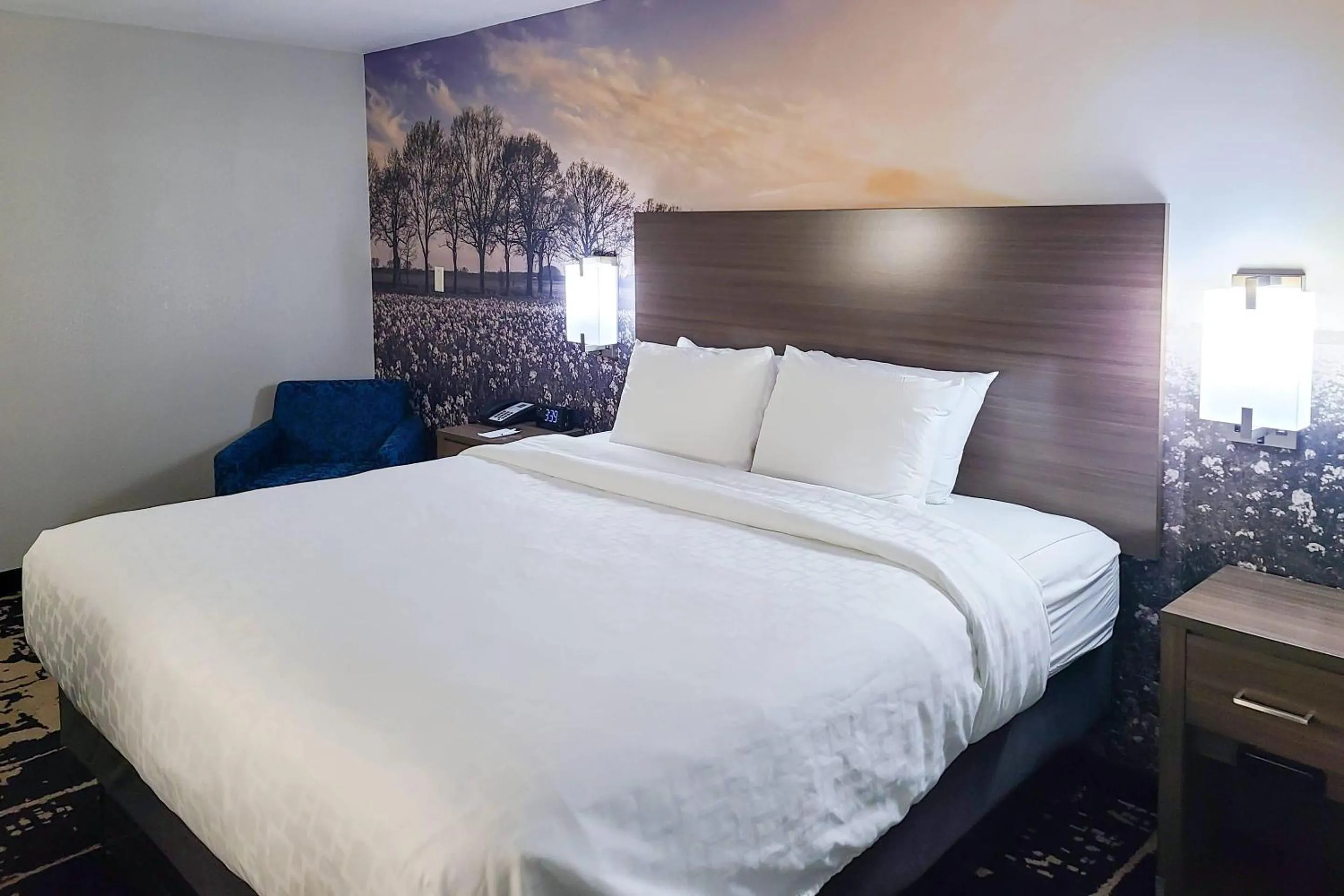 Bedroom, Bed in Clarion Pointe Bettendorf - Quad Cities