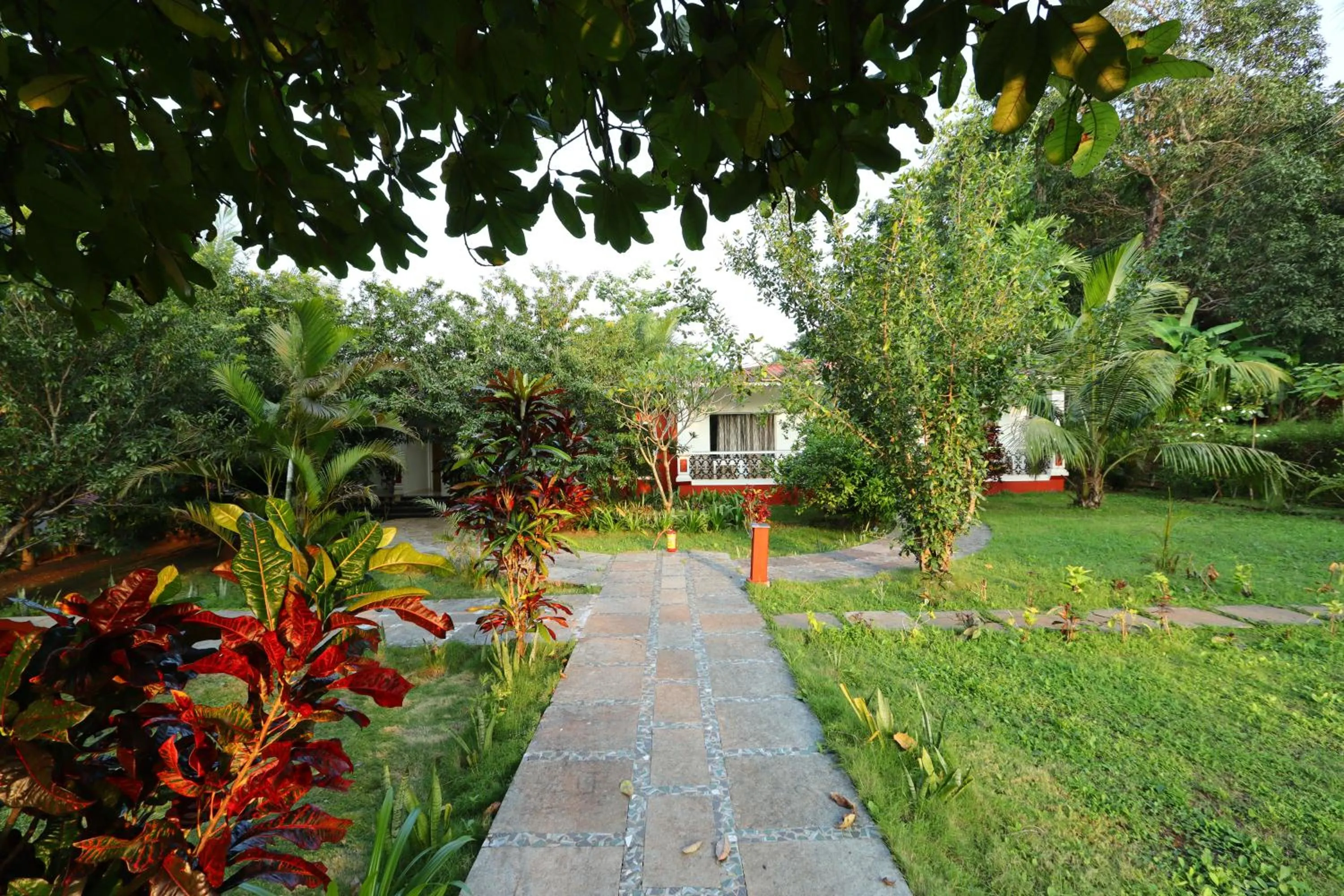 View (from property/room) in Wild Berry Resort Agonda