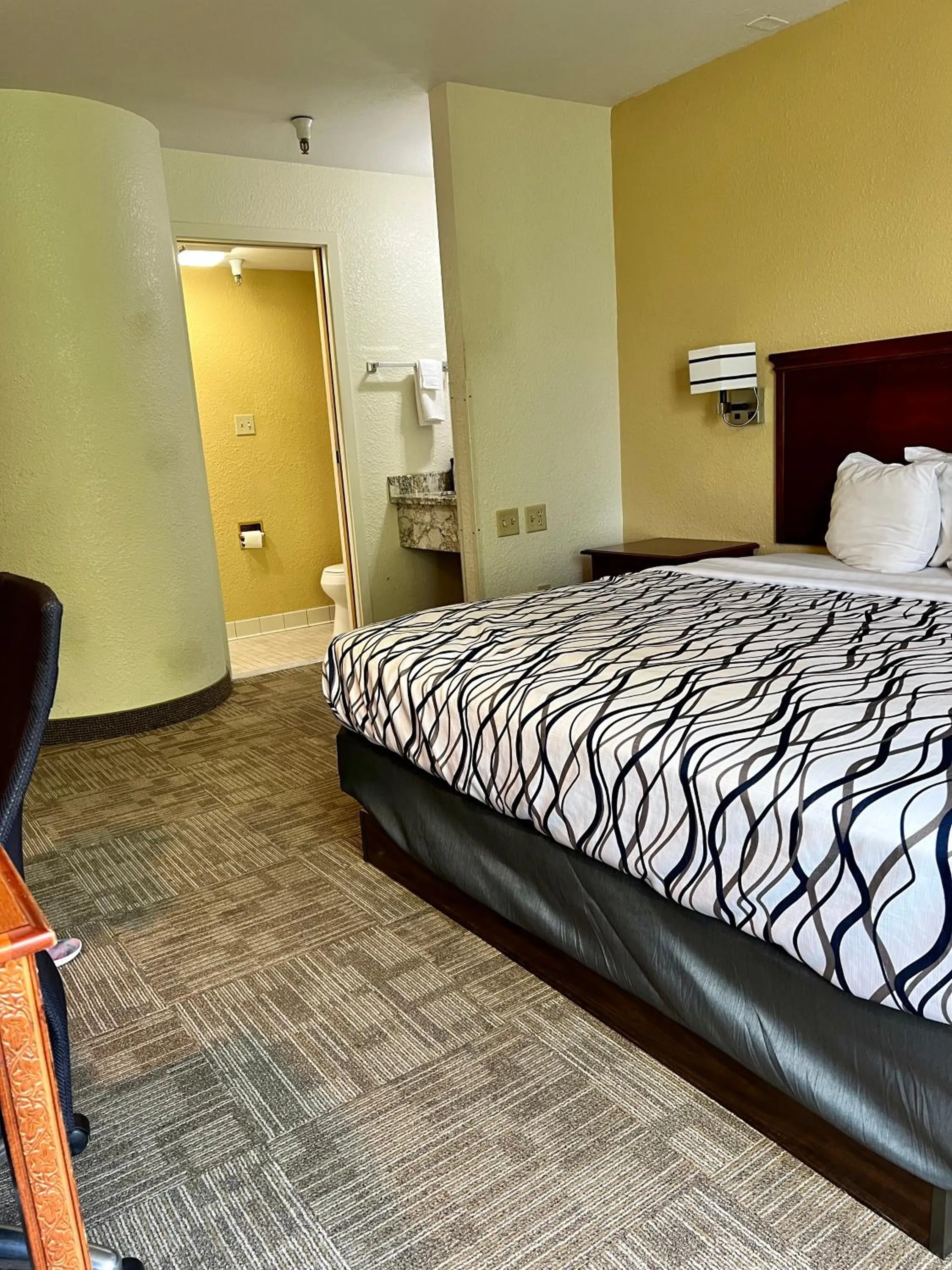 Photo of the whole room, Bed in Rodeway Inn Boise Airport