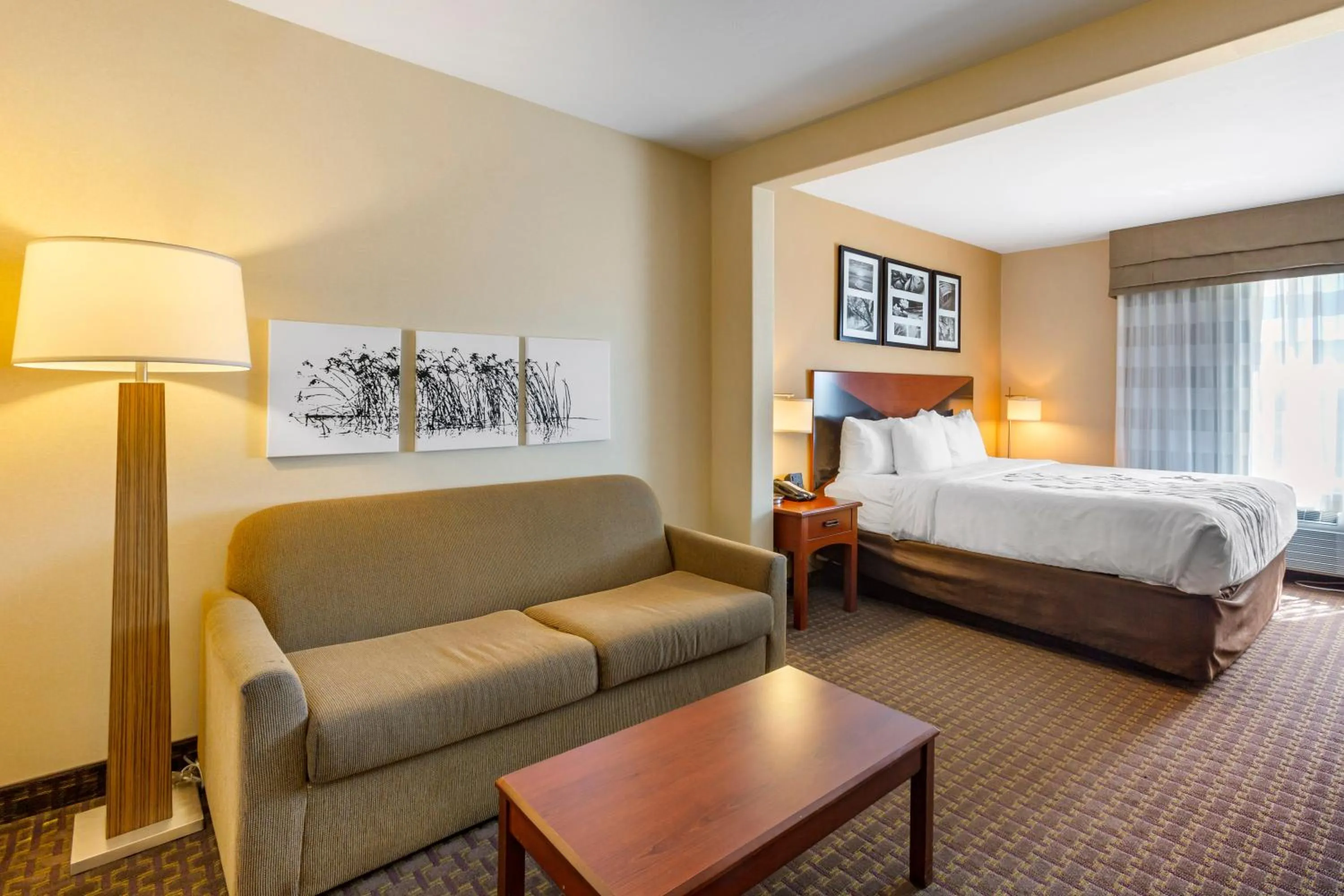 King Room with Walk-in Shower - Non-Smoking/Pet-Friendly in Garner Hotel Idaho Falls Southwest by IHG