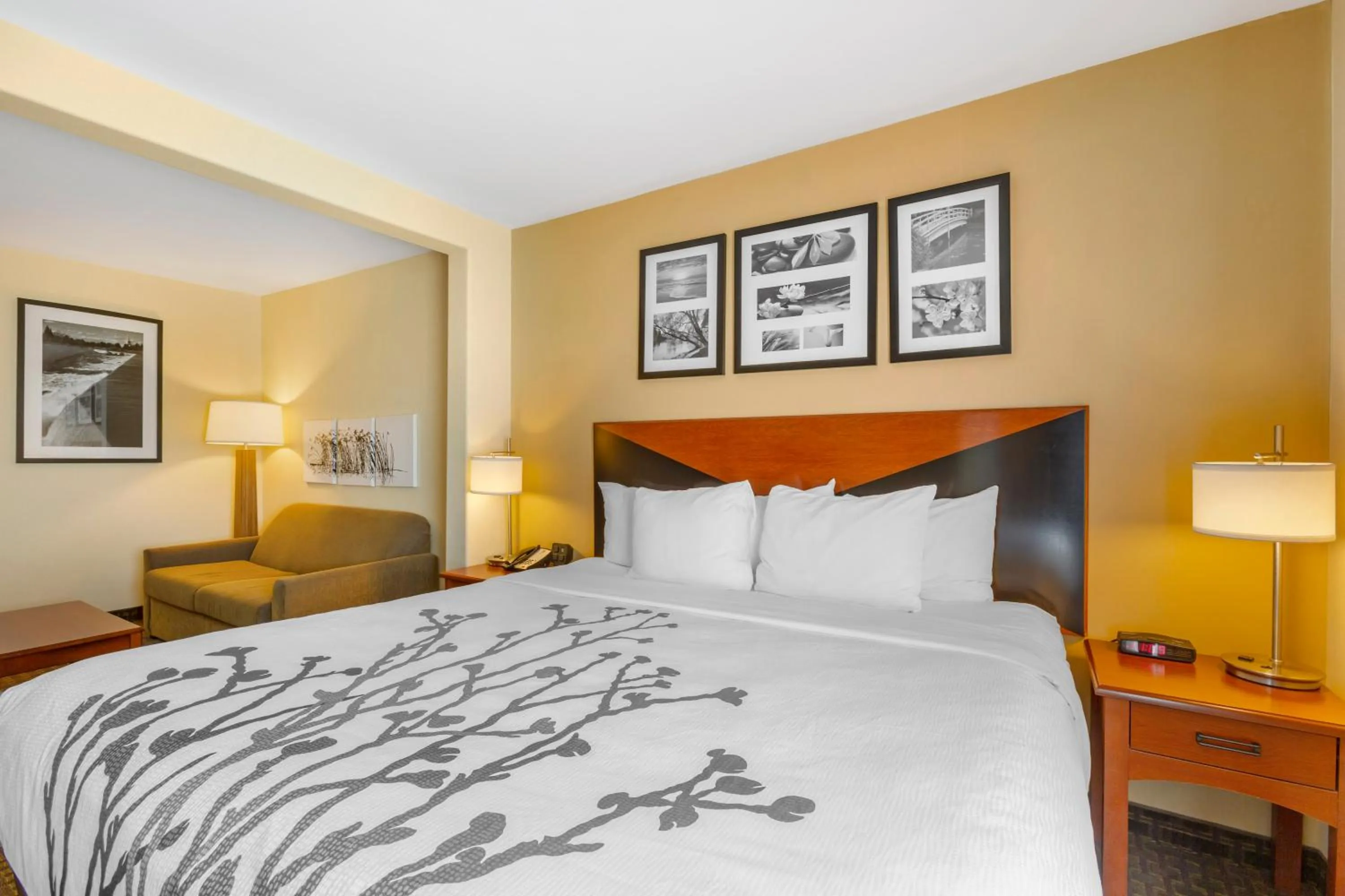 Standard King Room with Accessible Tub - Accessible/Non-Smoking in Garner Hotel Idaho Falls Southwest by IHG