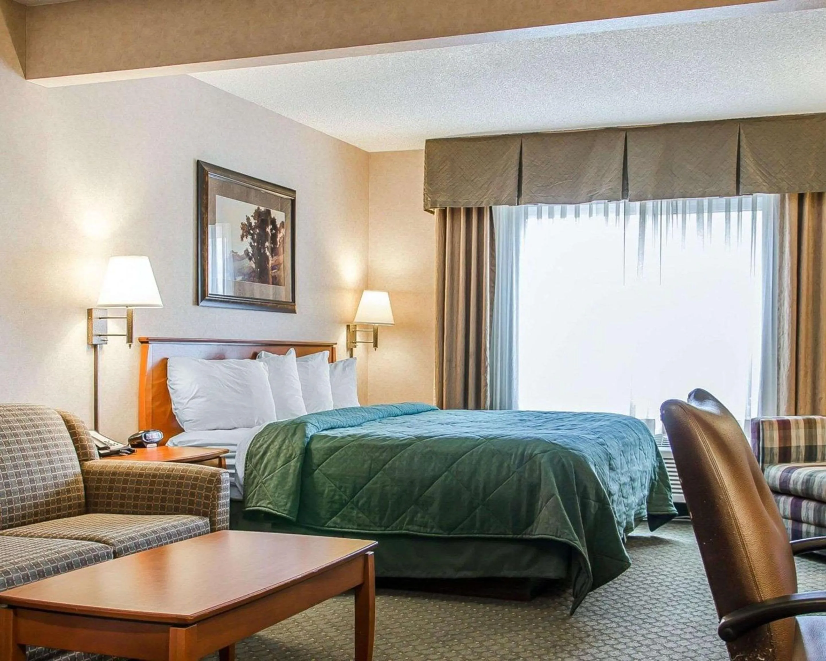 Photo of the whole room, Bed in Quality Inn & Suites Twin Falls North
