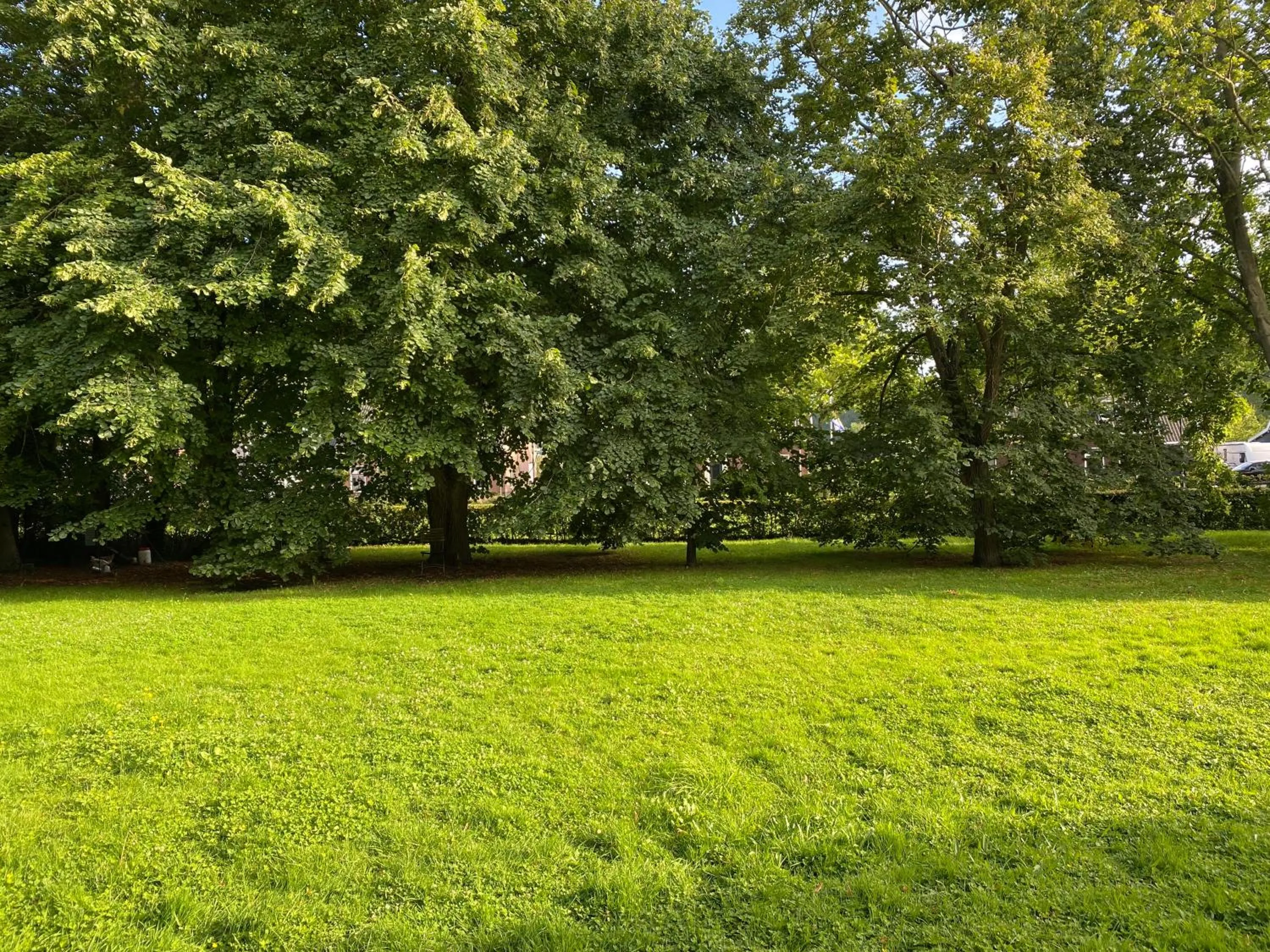 Garden in B&B Boerderij De Vaete - Duurzaam genieten in de zak van Zuid-Beveland