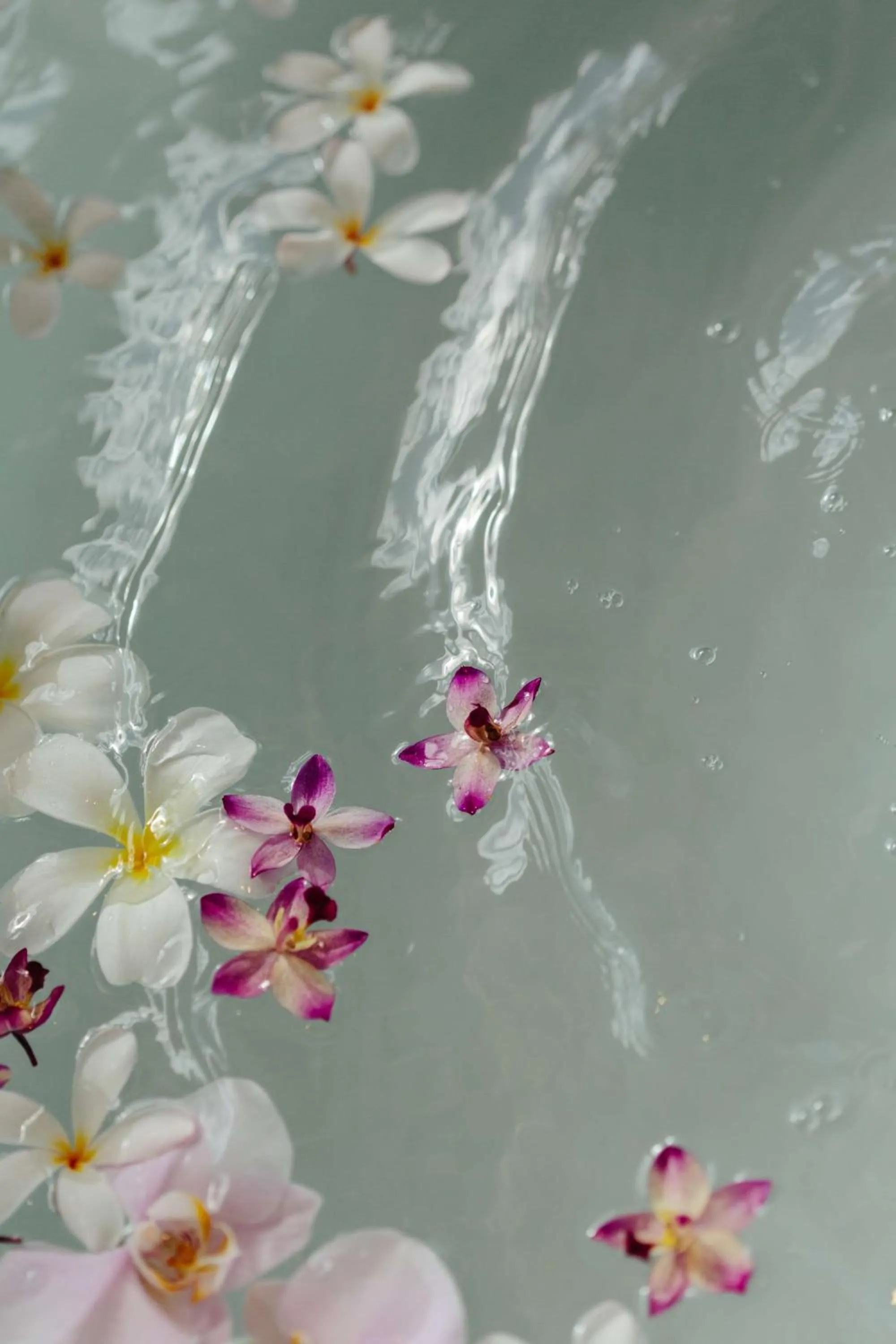 Grand Wailea Resort Hotel & Spa, A Waldorf Astoria Resort