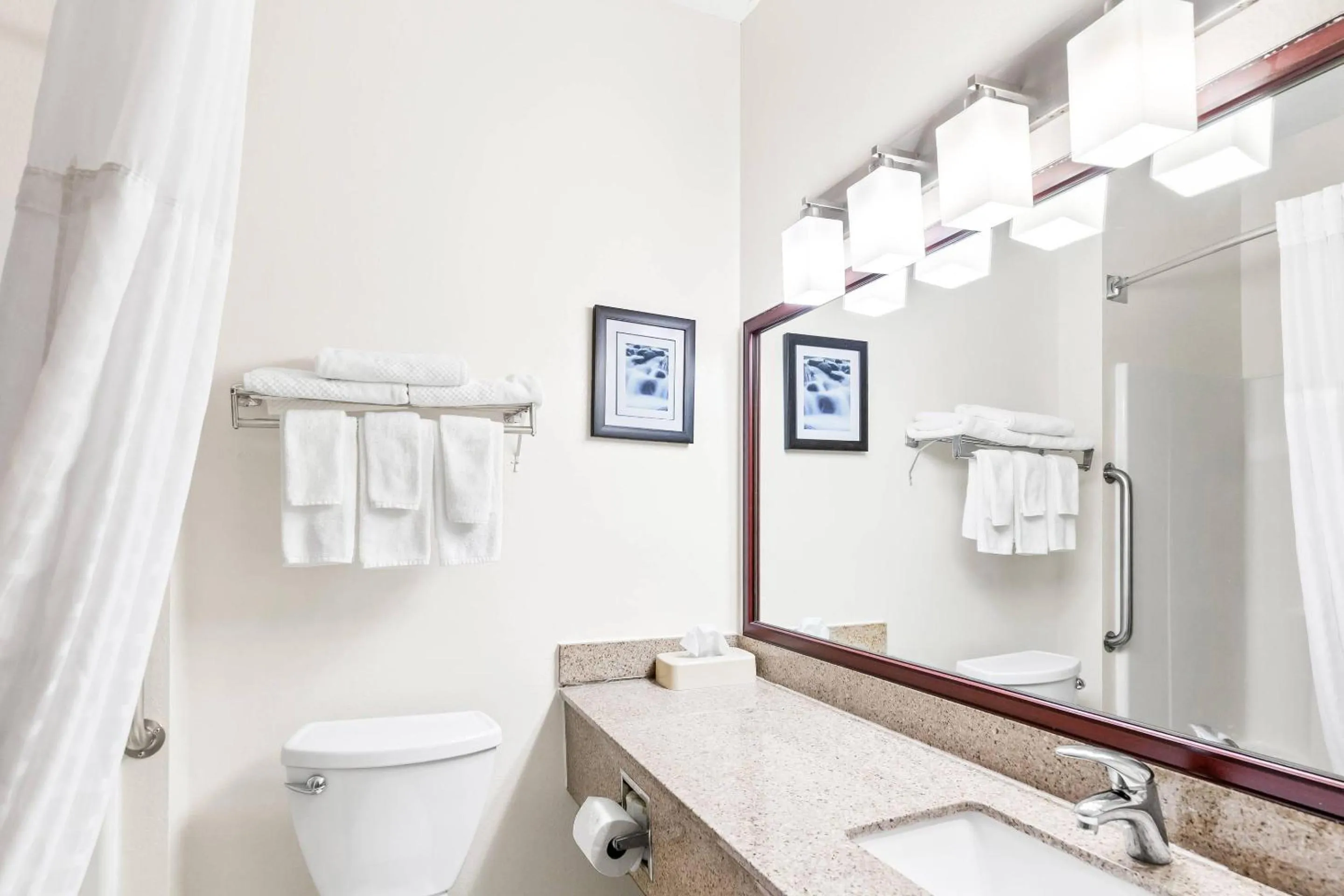 Bedroom in Quality Inn & Suites Springfield Southwest near I-72