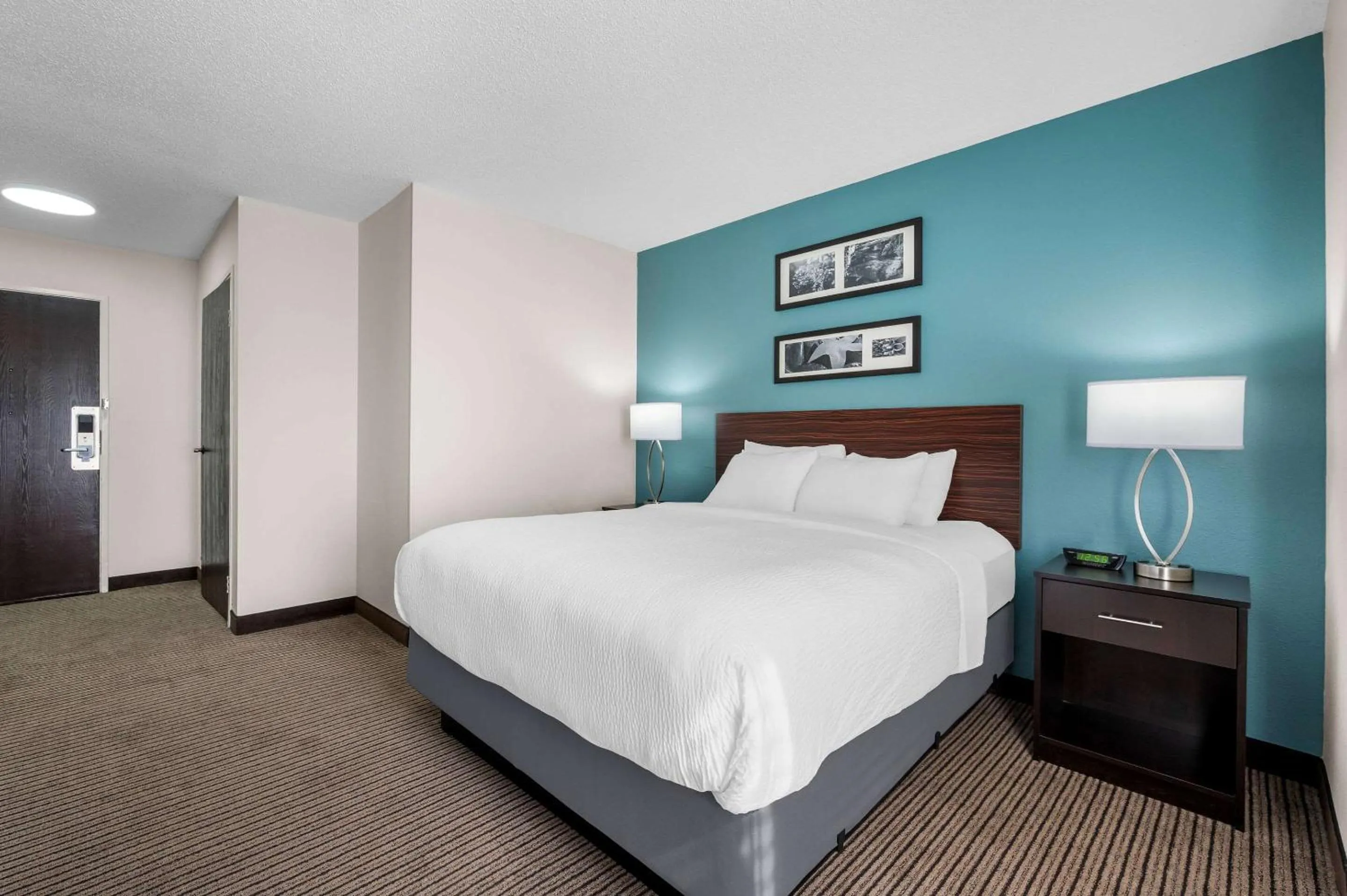 Bedroom, Bed in Sleep Inn Springfield West