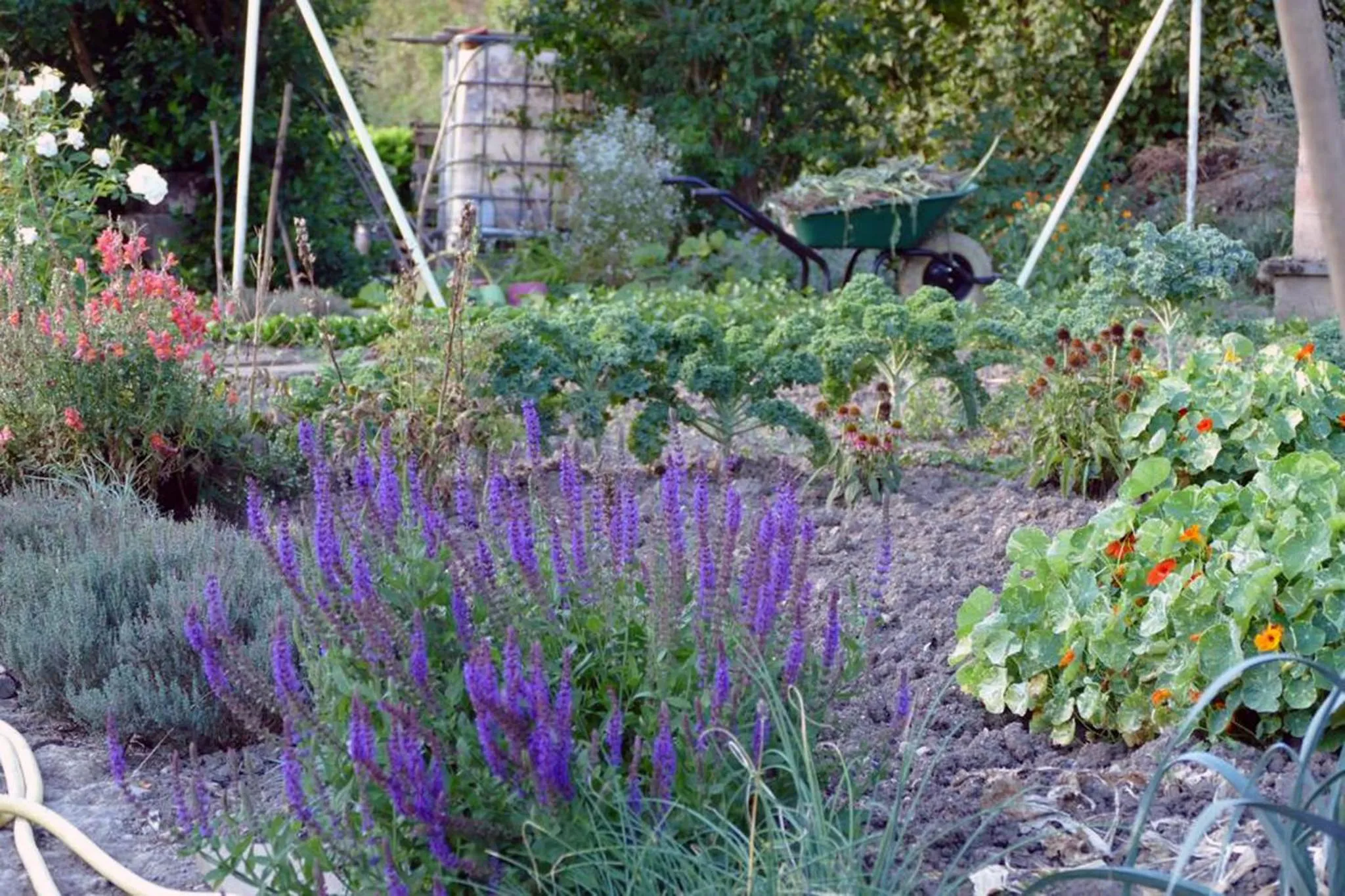 Garden view in LA PROVIDENCE, chambres d'hôtes